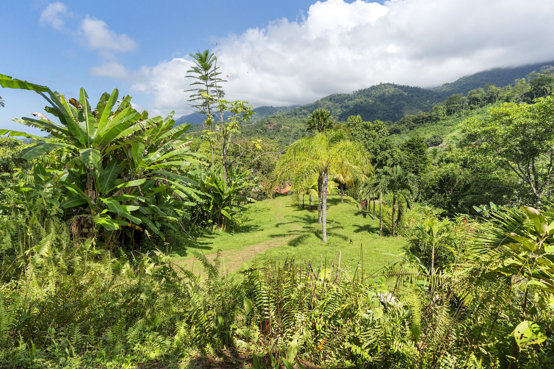 1 bed Single Family Homes For Sale in Ojochal, Puntarenas - thumb 15