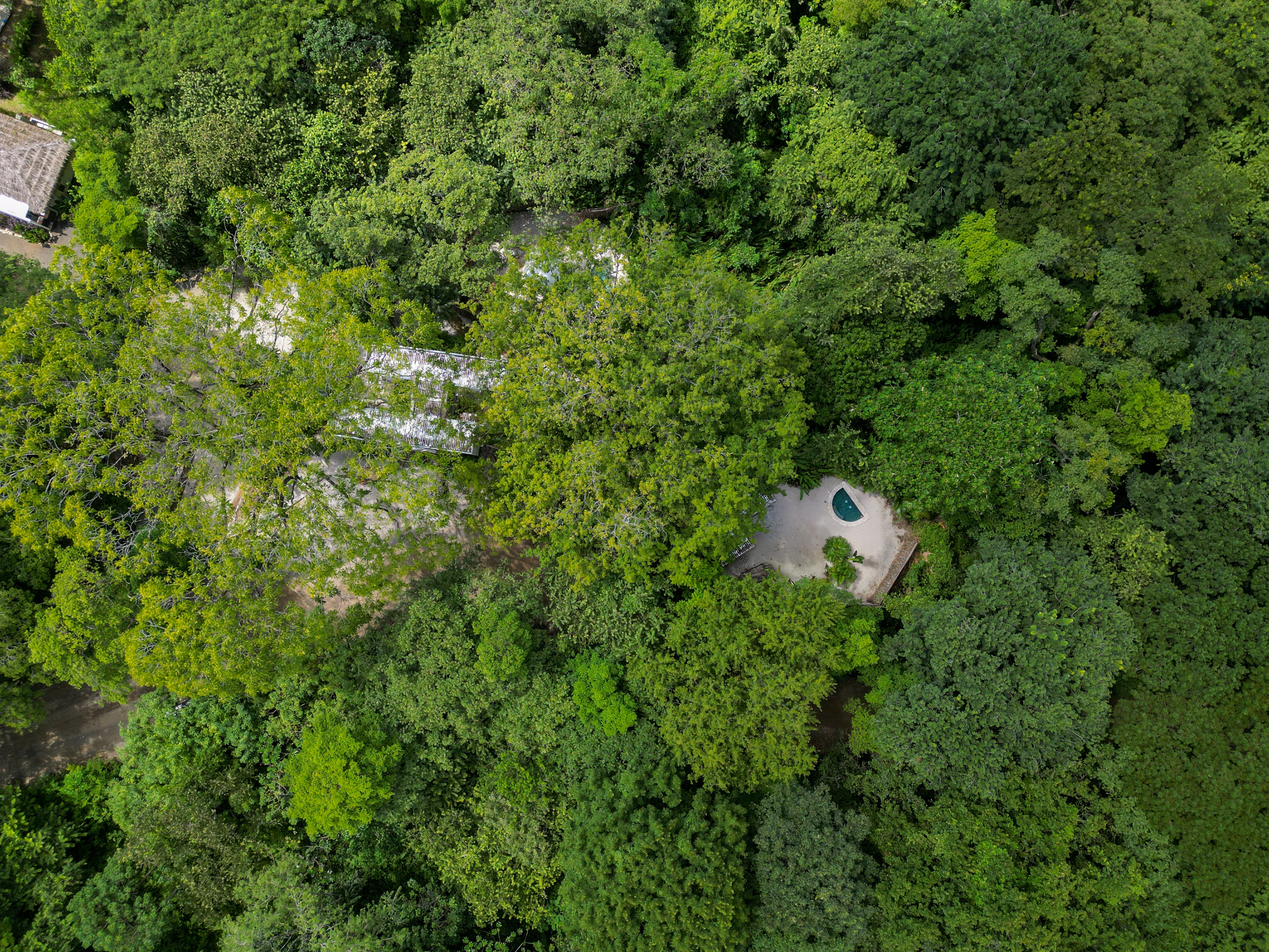 0 bed Land For Sale in Nosara, Guanacaste - thumb 7