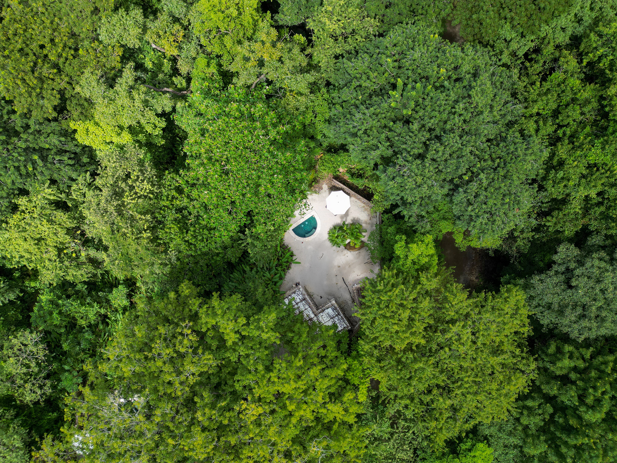 0 bed Land For Sale in Nosara, Guanacaste - thumb 2