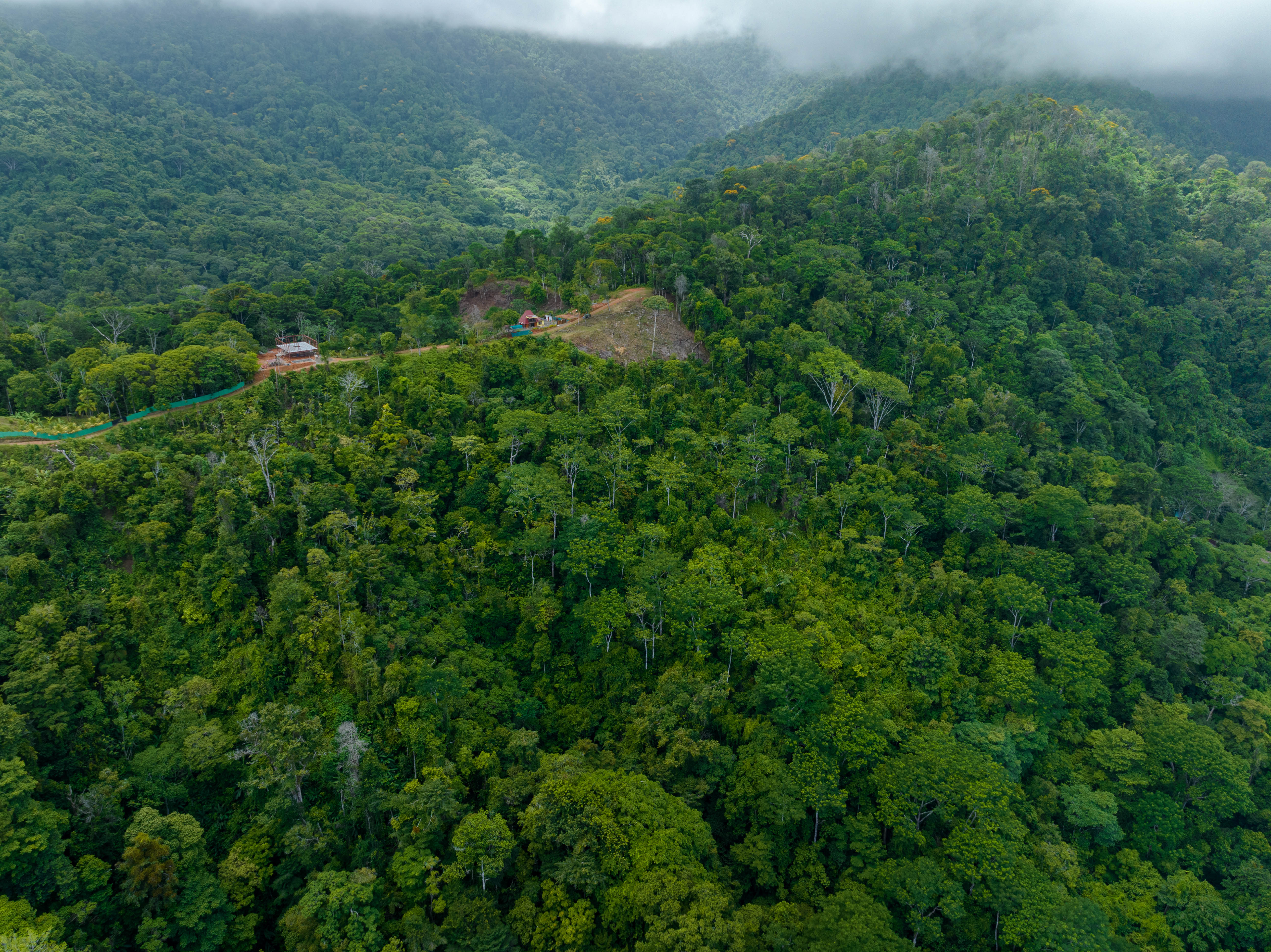 0 bed Land For Sale in Uvita, Puntarenas - thumb 9