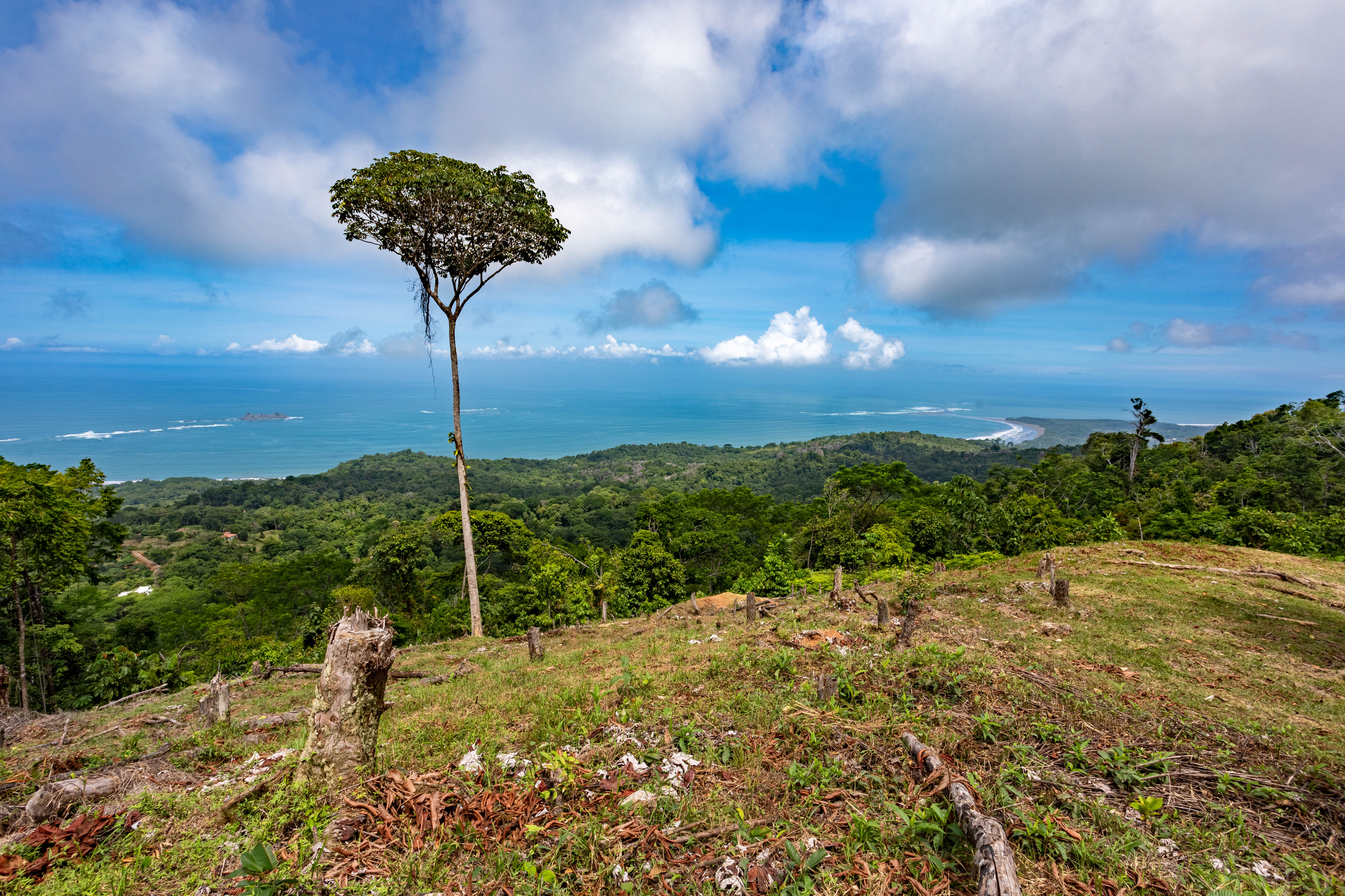 0 bed Land For Sale in Uvita, Puntarenas - thumb 16