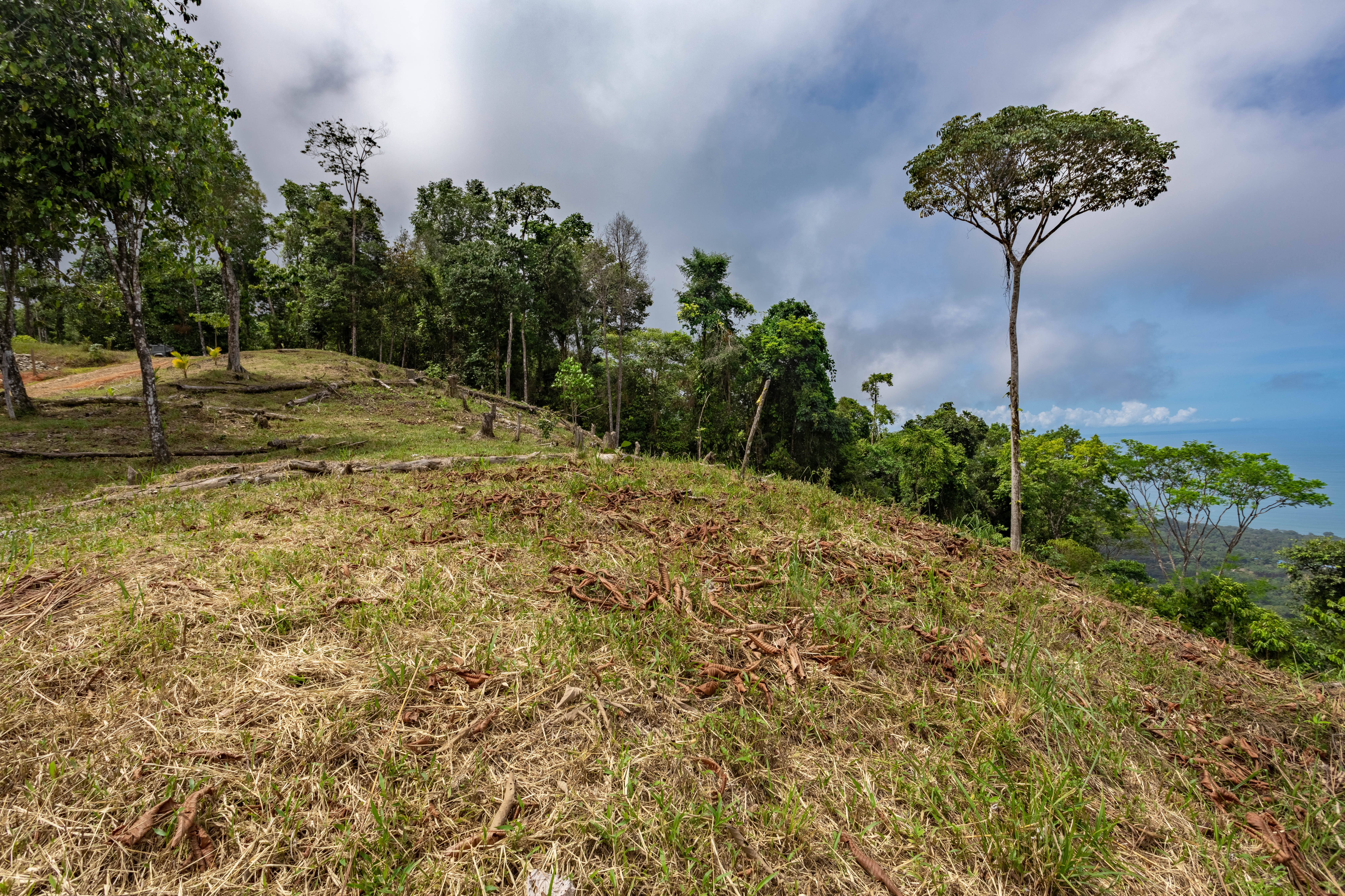 0 bed Land For Sale in Uvita, Puntarenas - thumb 4