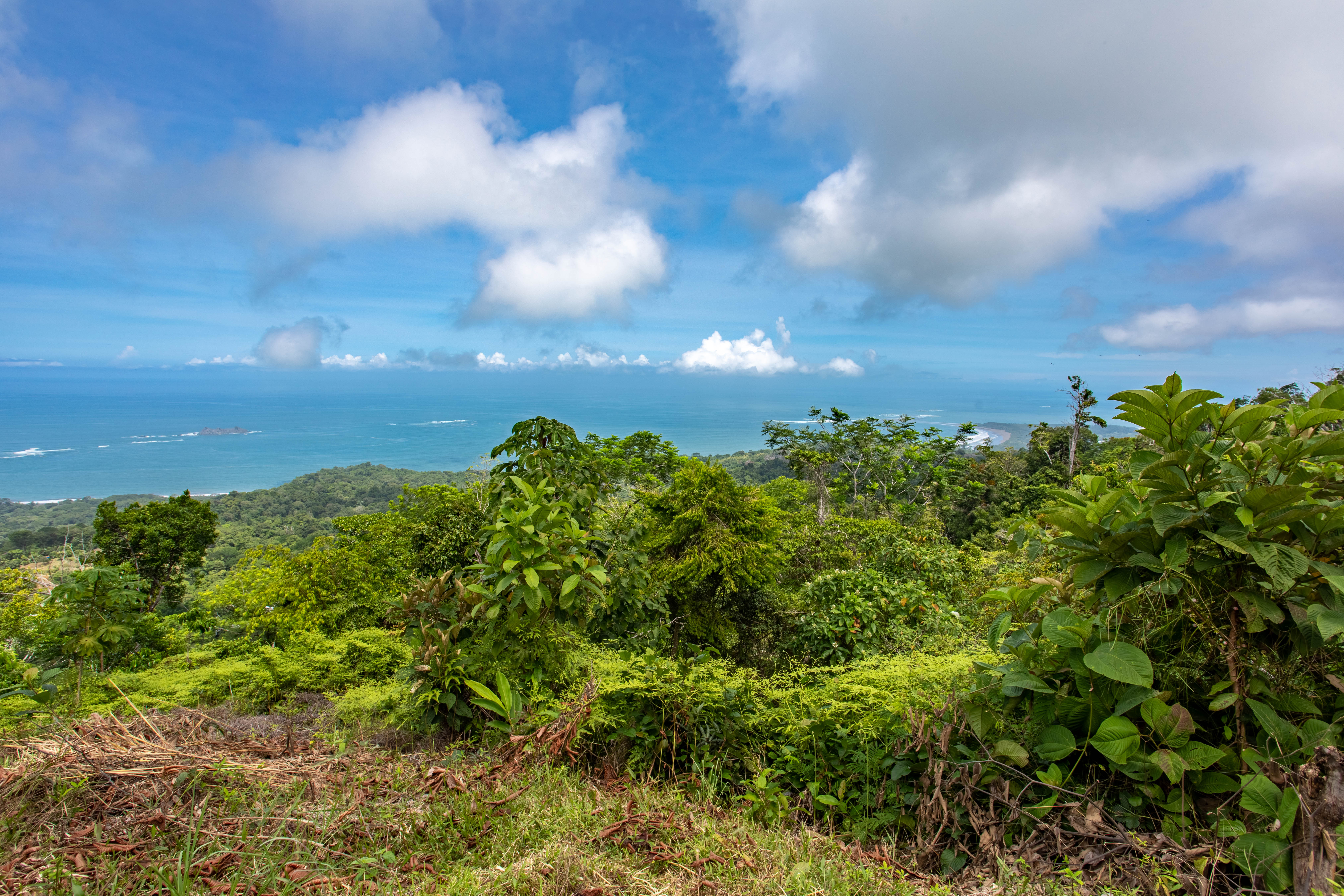 0 bed Land For Sale in Uvita, Puntarenas - thumb 12
