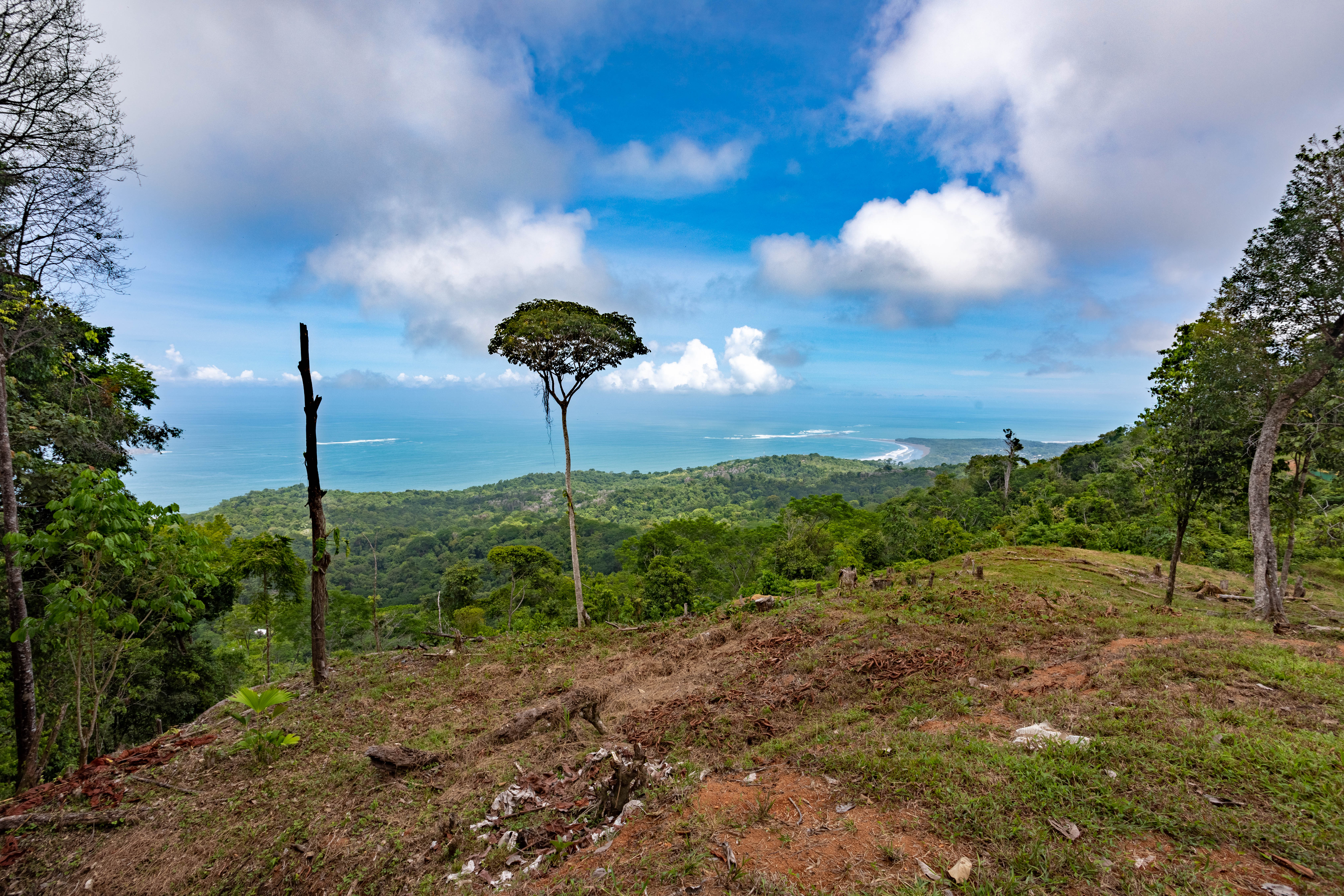 0 bed Land For Sale in Uvita, Puntarenas - thumb 15