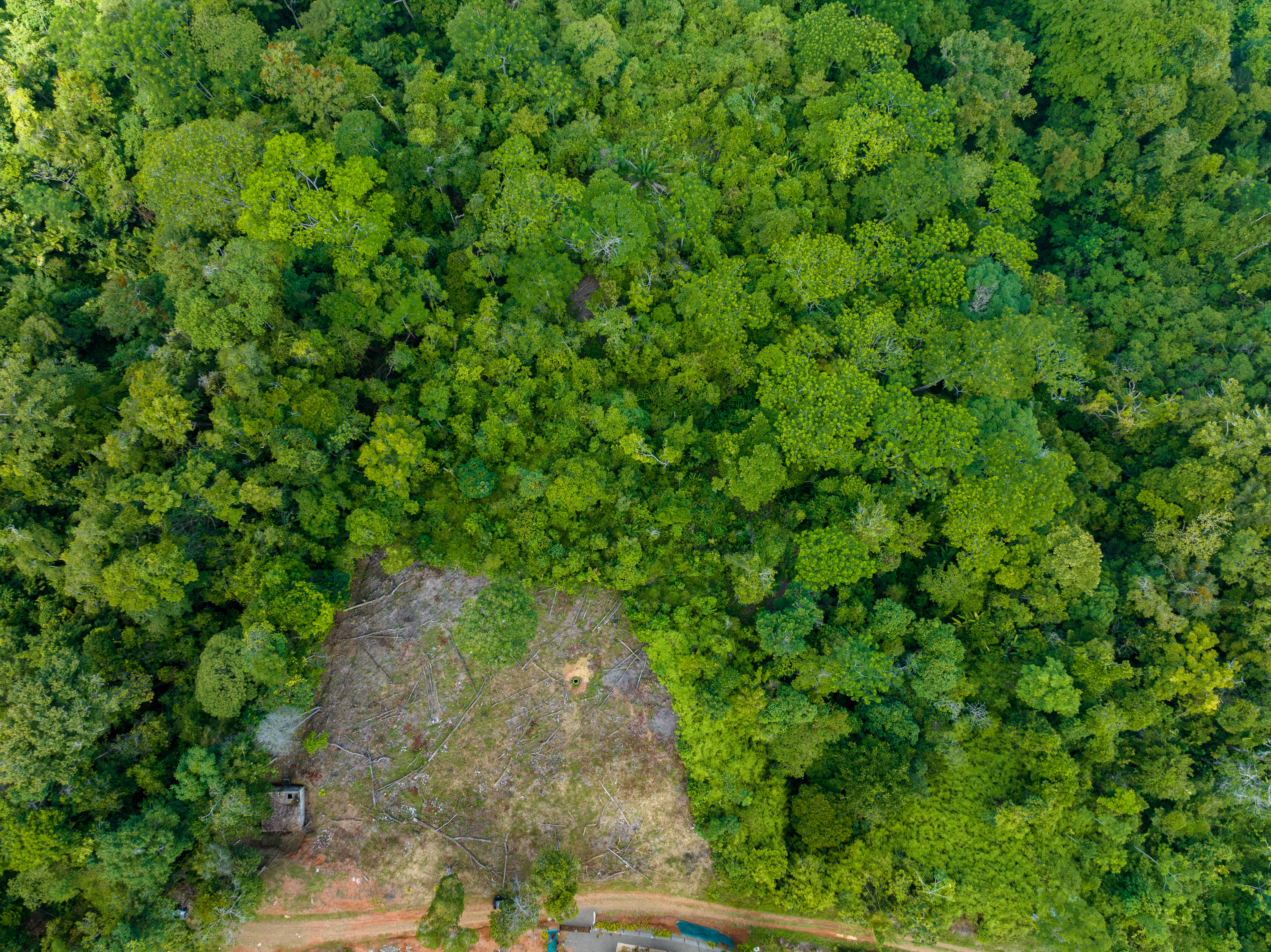 0 bed Land For Sale in Uvita, Puntarenas - thumb 11