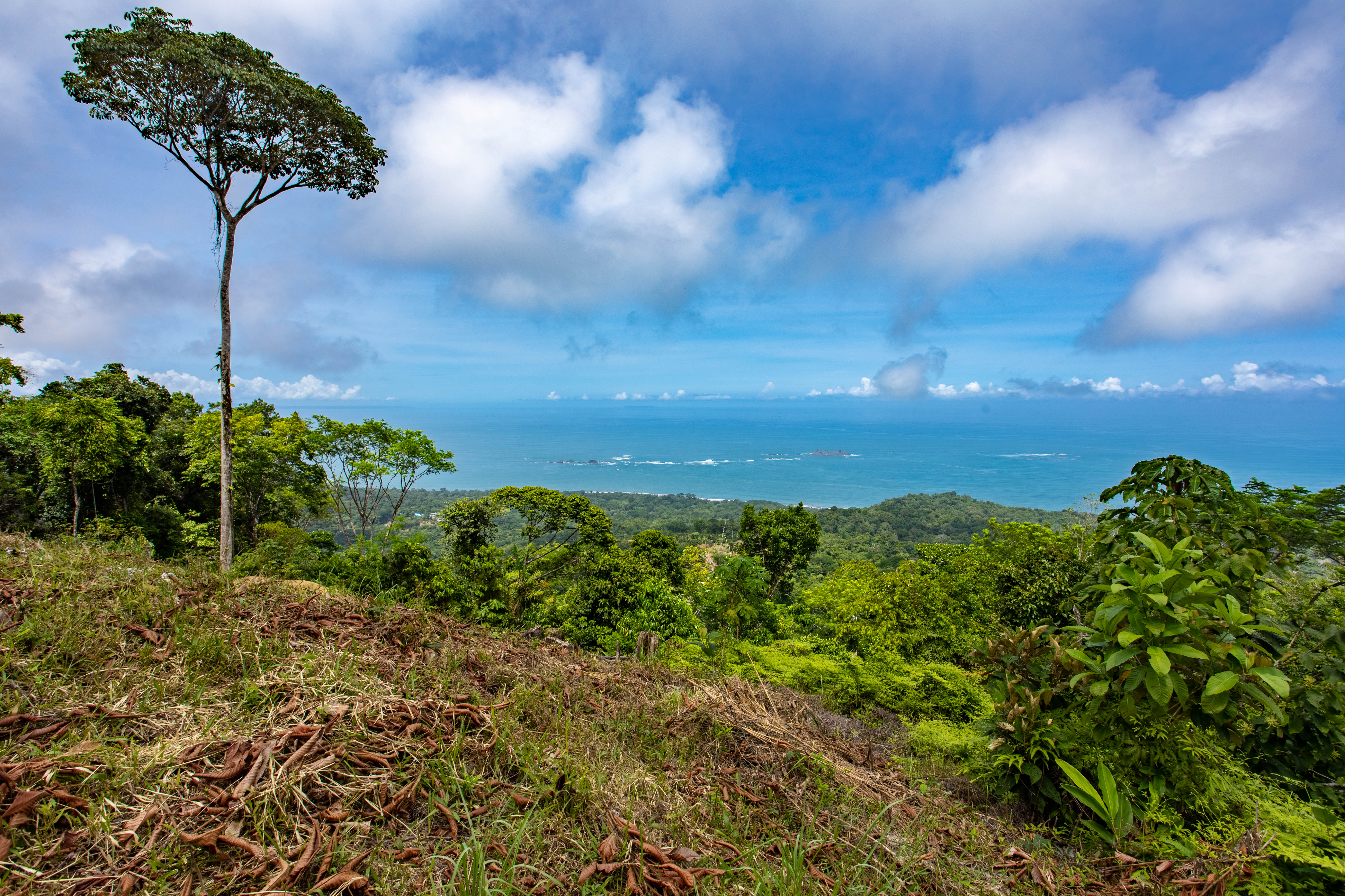 0 bed Land For Sale in Uvita, Puntarenas - thumb 13