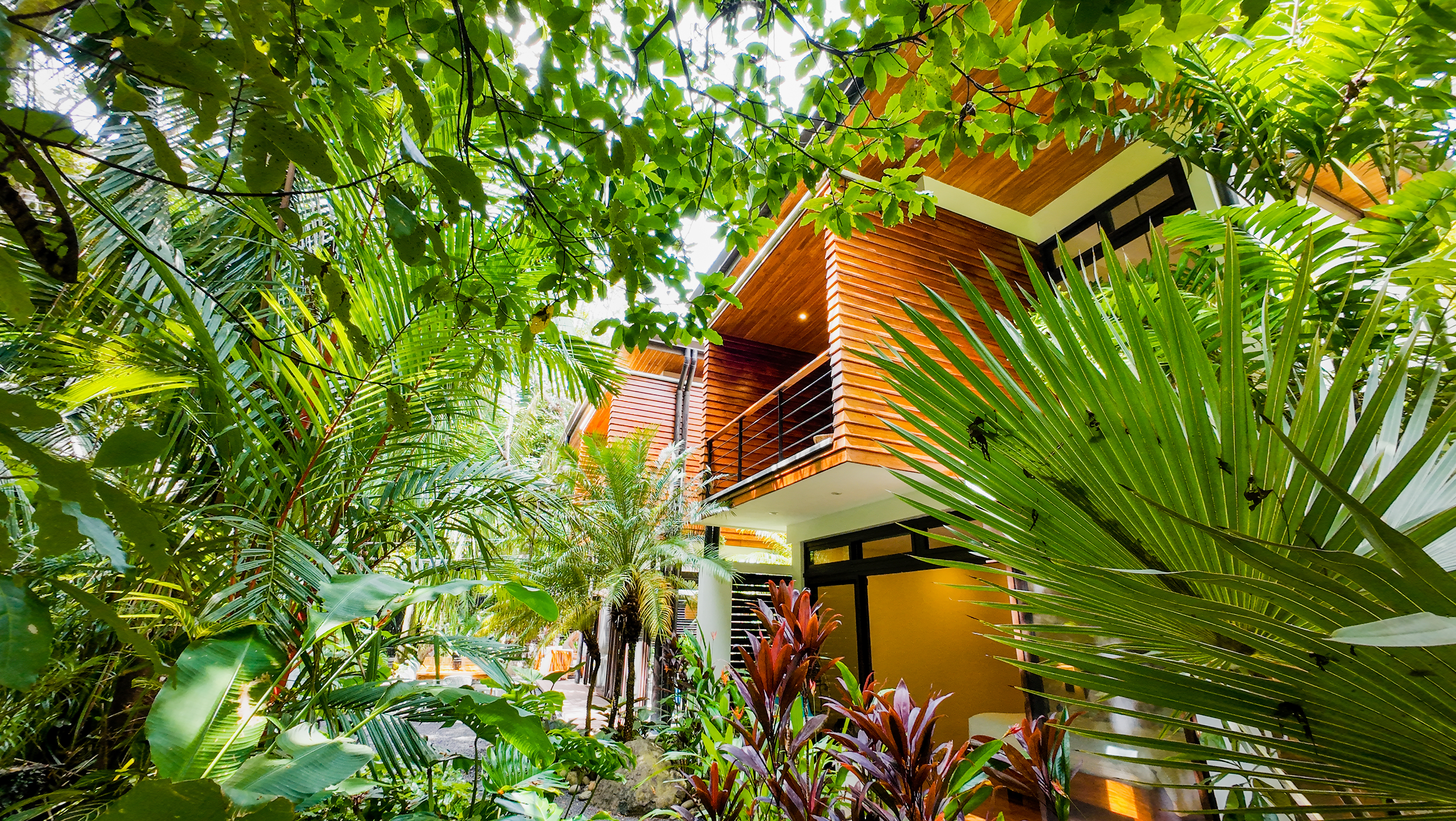 4 bed Single Family Homes For Sale in Nosara, Guanacaste - thumb 8