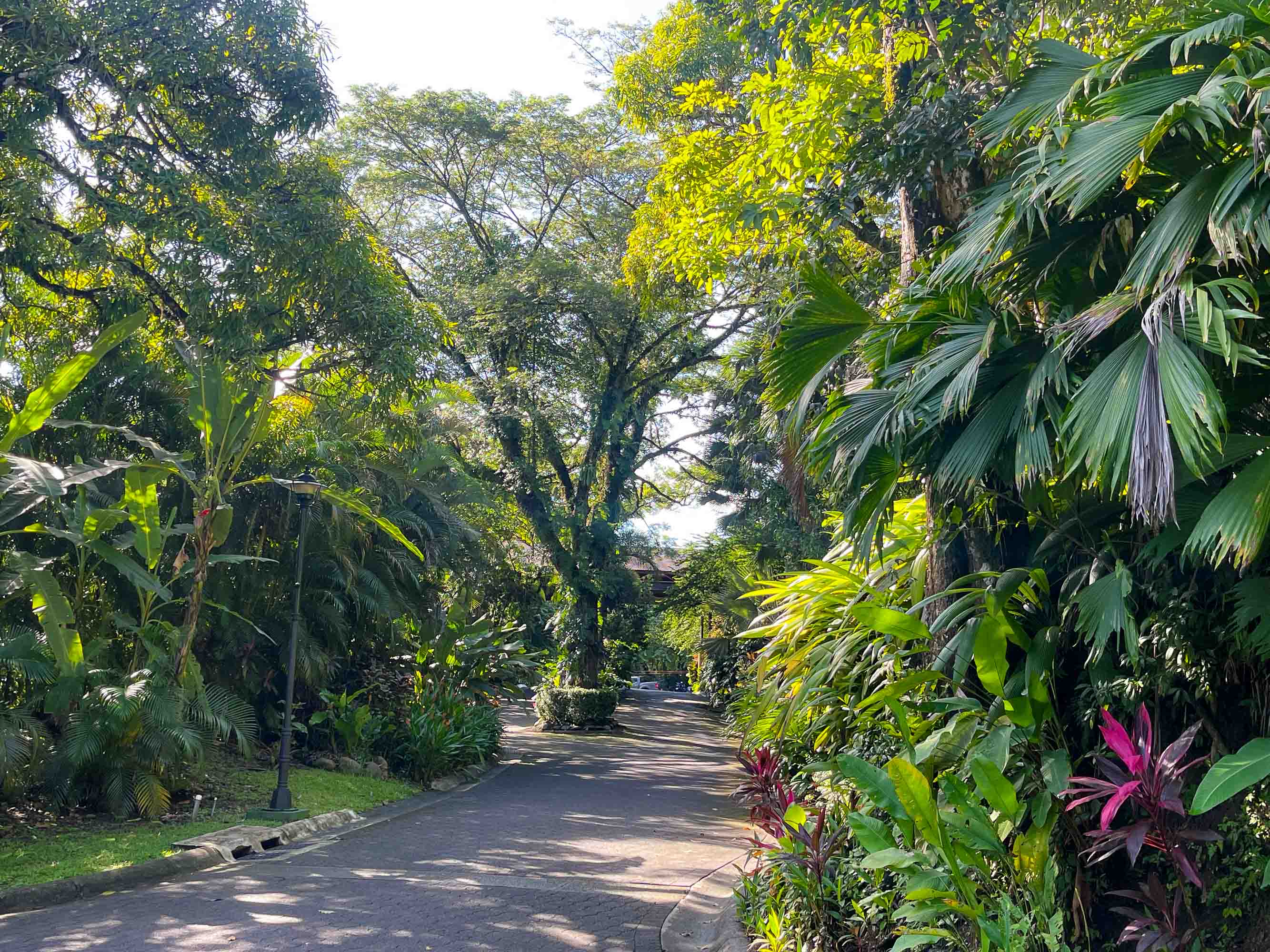 0 bed Land For Sale in Manuel Antonio, Puntarenas - thumb 6