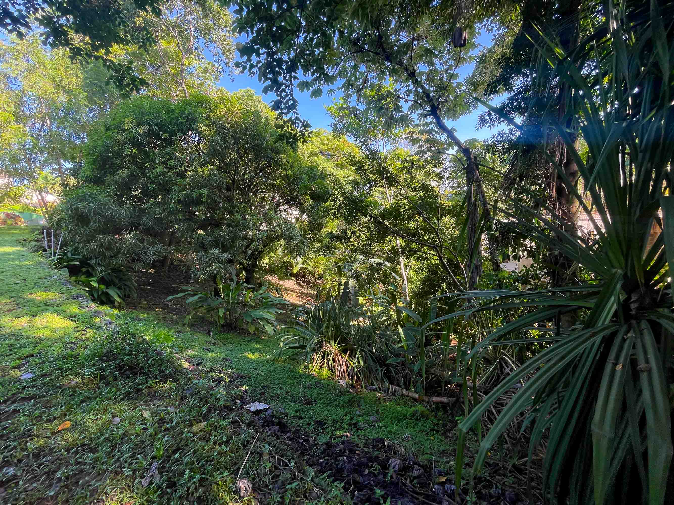 0 bed Land For Sale in Manuel Antonio, Puntarenas - thumb 3