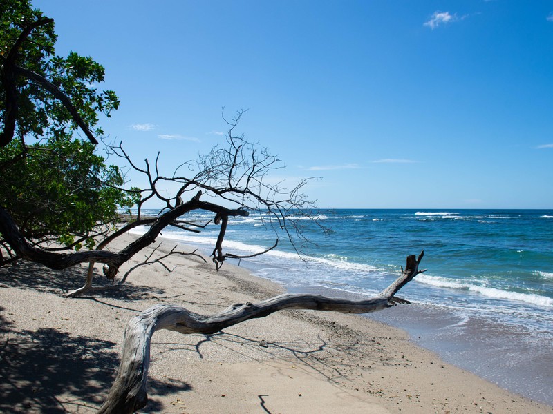 0 bed Communities For Sale in San Jose De Pinilla, Guanacaste - 3