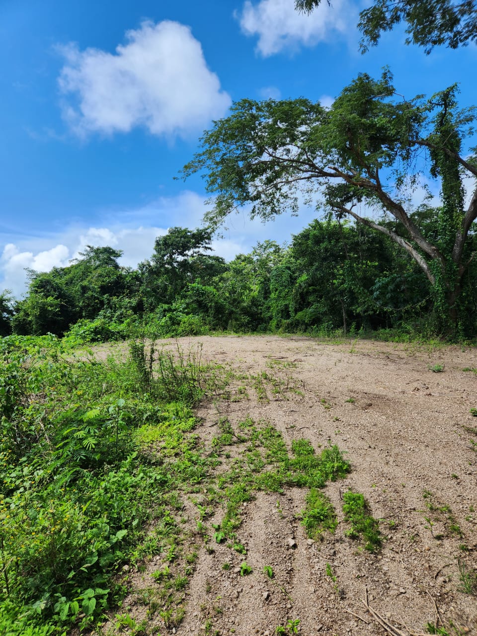0 bed Land For Sale in Paquera, Puntarenas - thumb 9