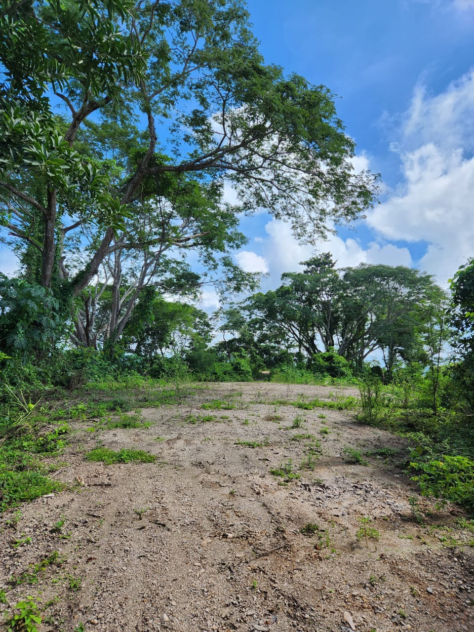 0 bed Land For Sale in Paquera, Puntarenas - thumb 10