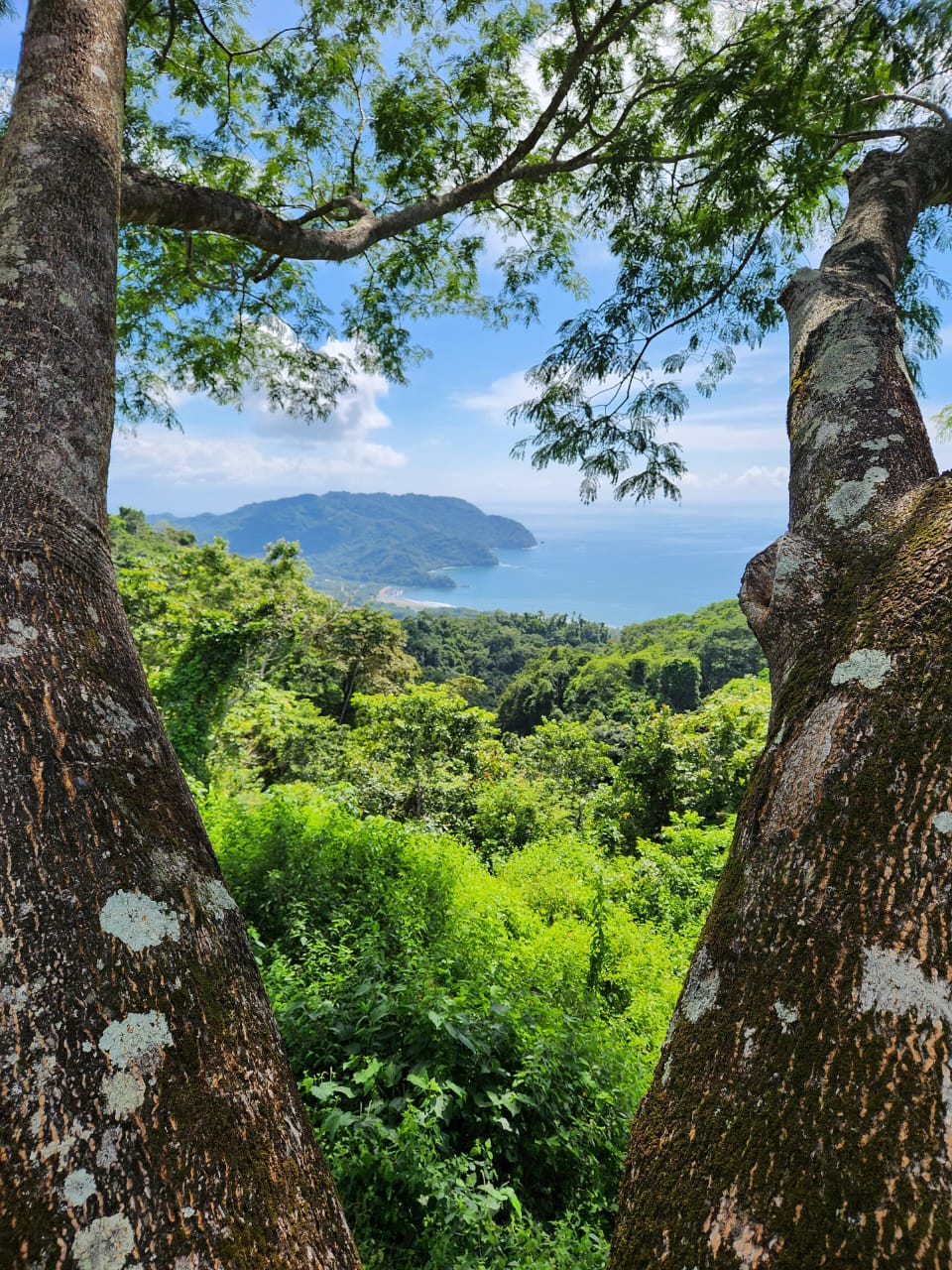 0 bed Land For Sale in Paquera, Puntarenas - thumb 2