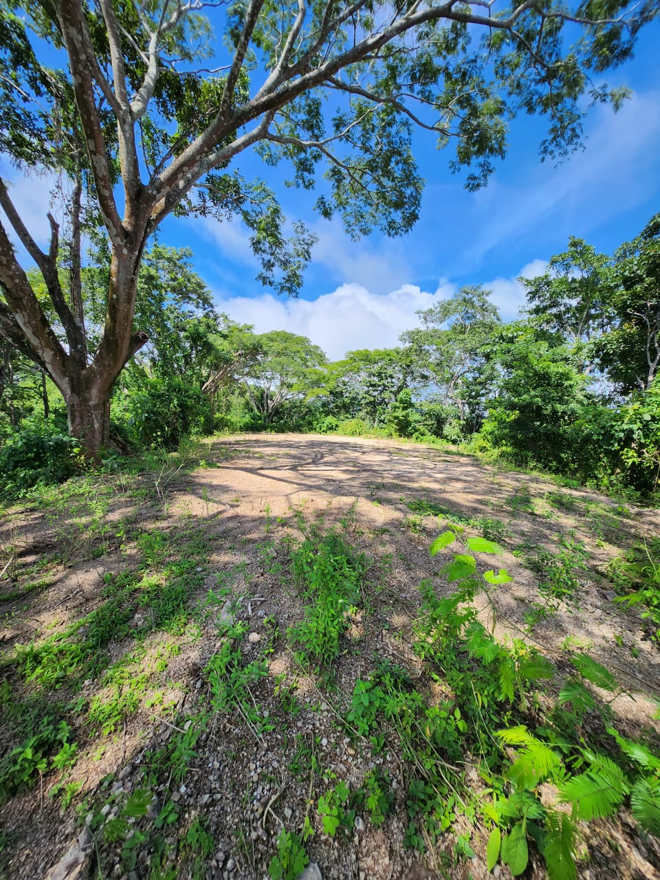 0 bed Land For Sale in Paquera, Puntarenas - thumb 4