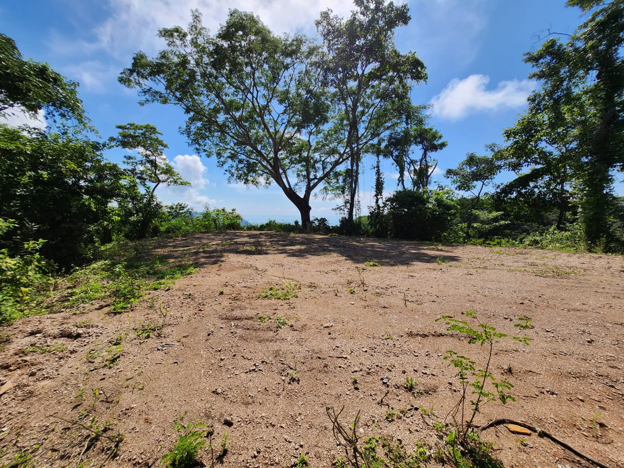 0 bed Land For Sale in Paquera, Puntarenas - thumb 3