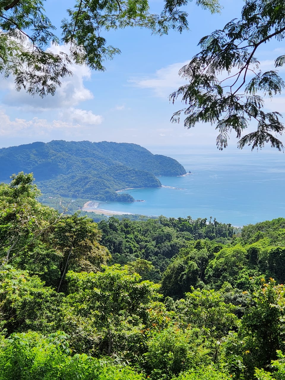 0 bed Land For Sale in Paquera, Puntarenas - thumb 1