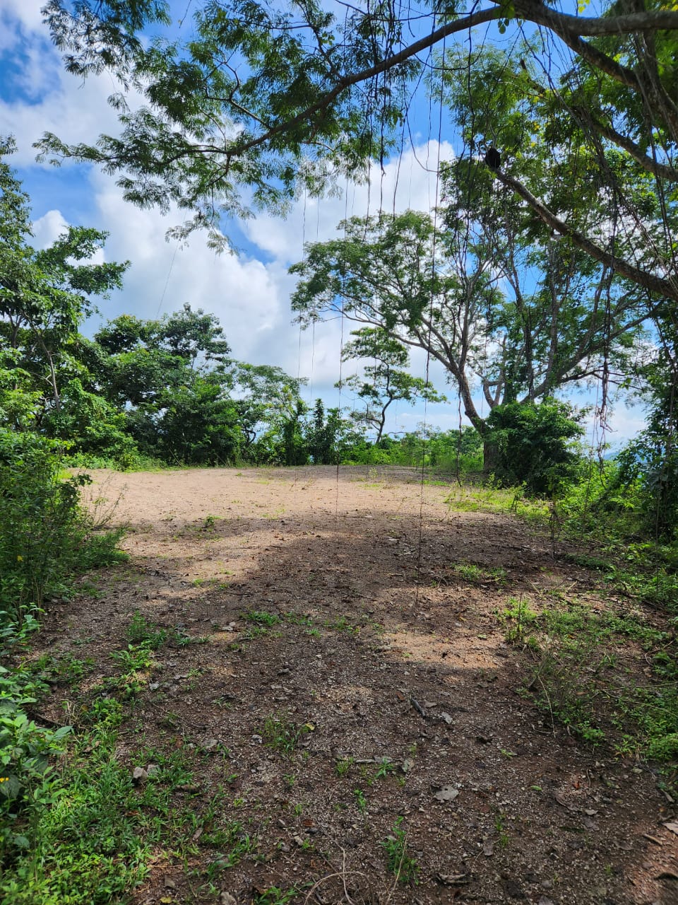 0 bed Land For Sale in Paquera, Puntarenas - thumb 8