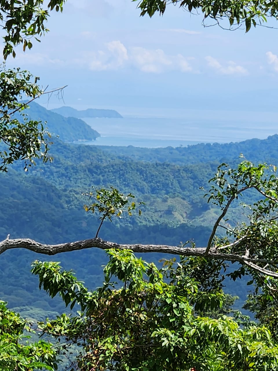 0 bed Land For Sale in Paquera, Puntarenas - thumb 6