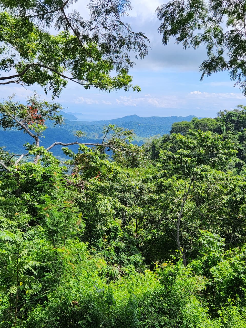 0 bed Land For Sale in Paquera, Puntarenas - thumb 7