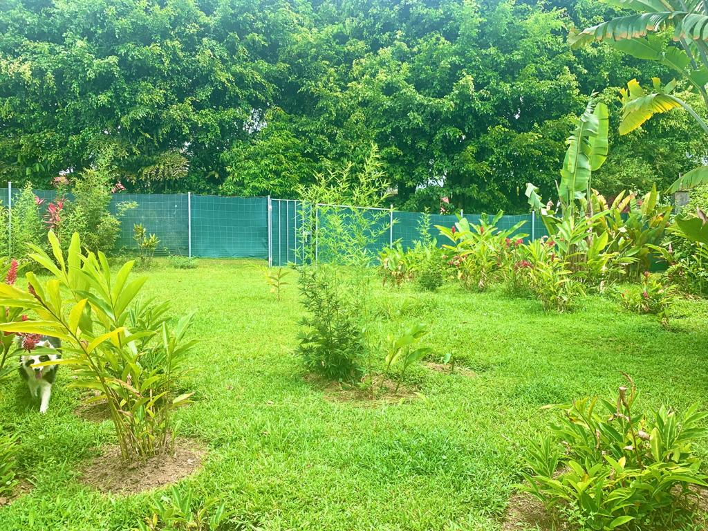 5 bed Single Family Homes For Sale in La Fortuna, Alajuela - thumb 6