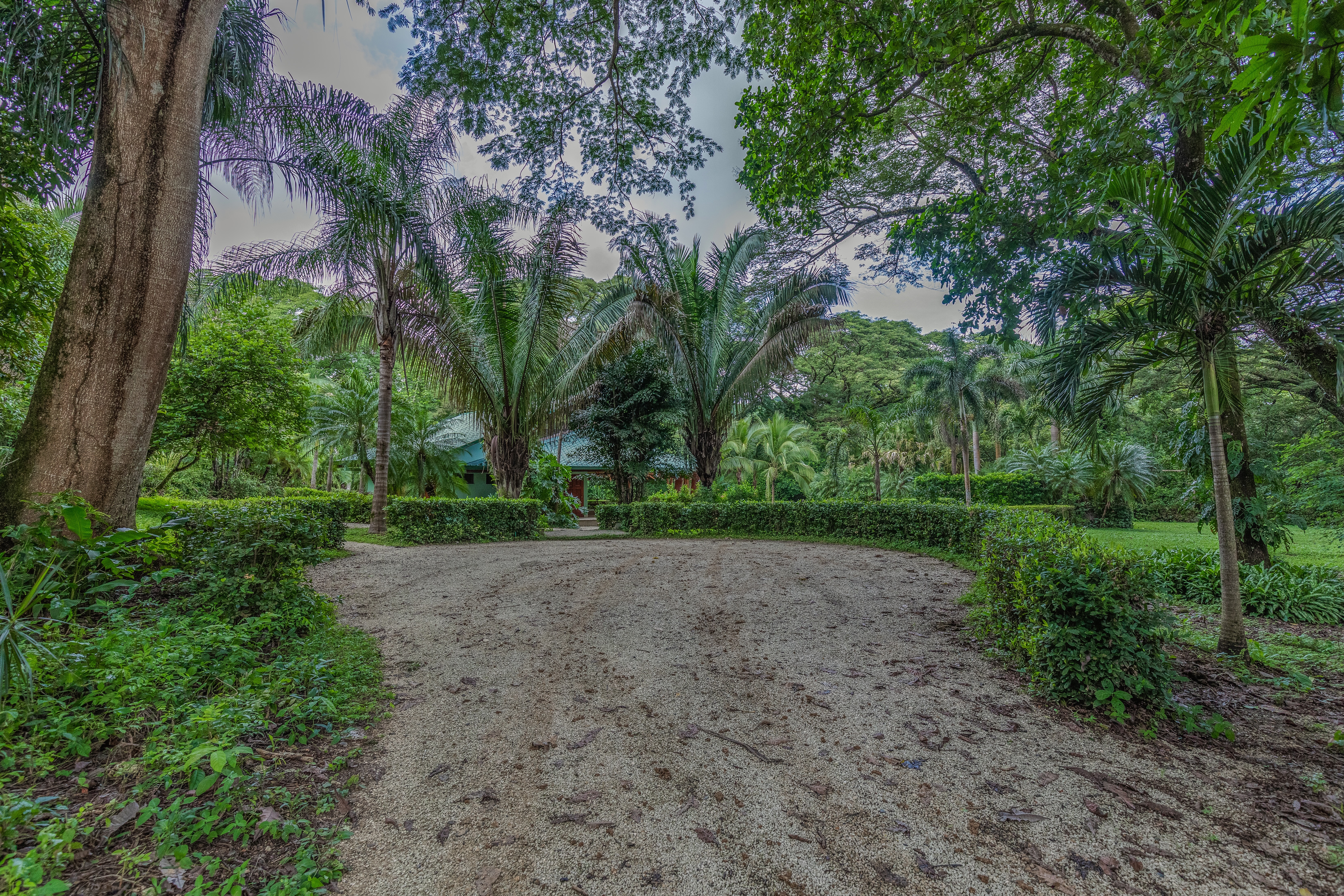 0 bed Communities For Sale in Nosara, Guanacaste - thumb 15