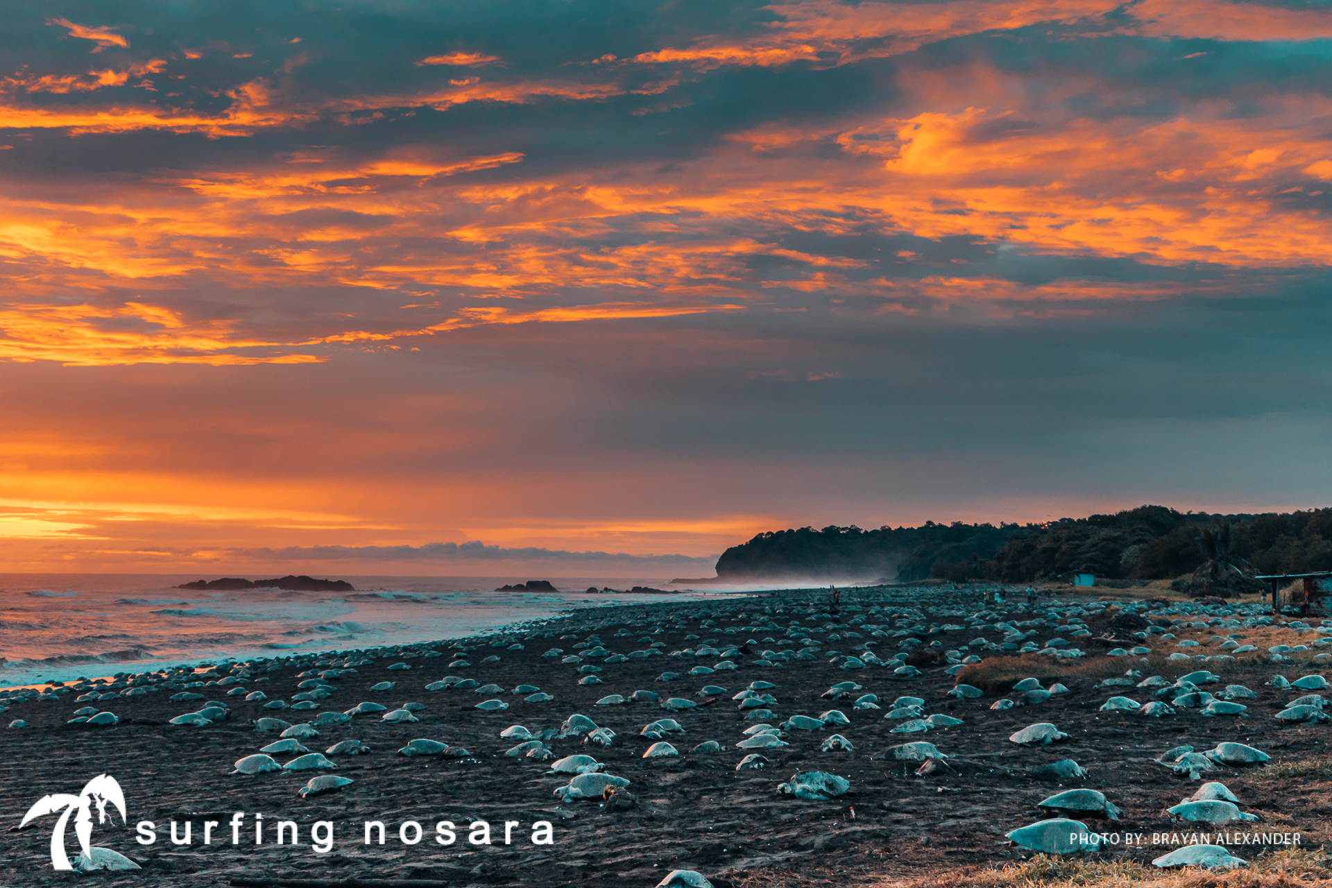 0 bed Communities For Sale in Ostional, Guanacaste - thumb 10