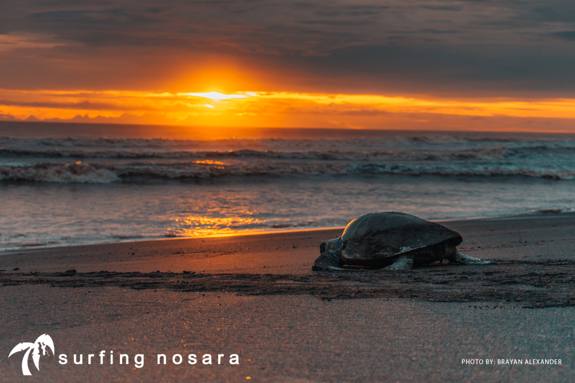 0 bed Communities For Sale in Ostional, Guanacaste - thumb 8