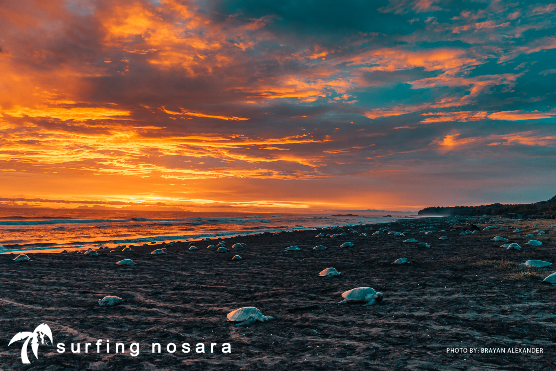 0 bed Communities For Sale in Ostional, Guanacaste - thumb 9