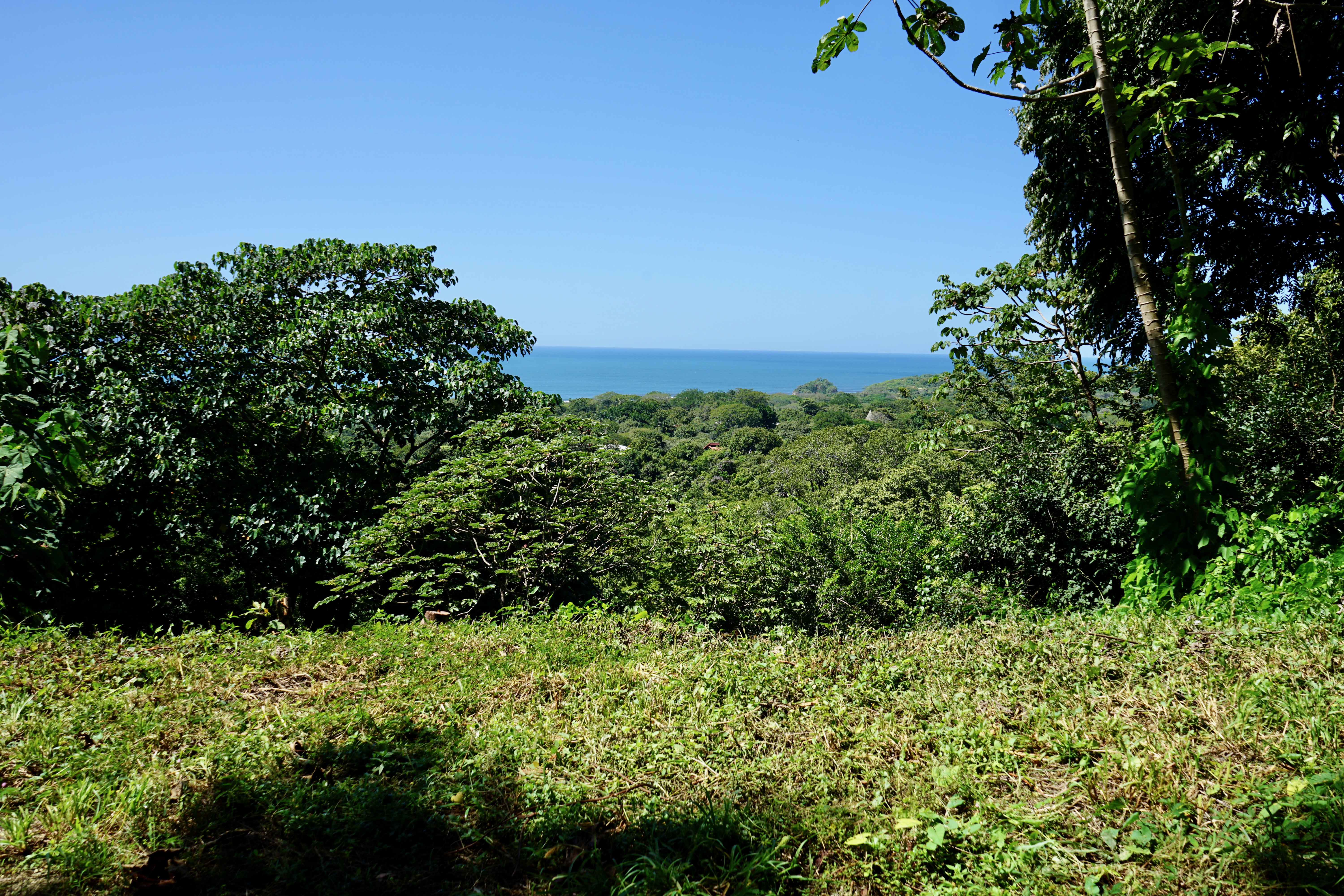 0 bed Land For Sale in Nosara, Guanacaste - thumb 6