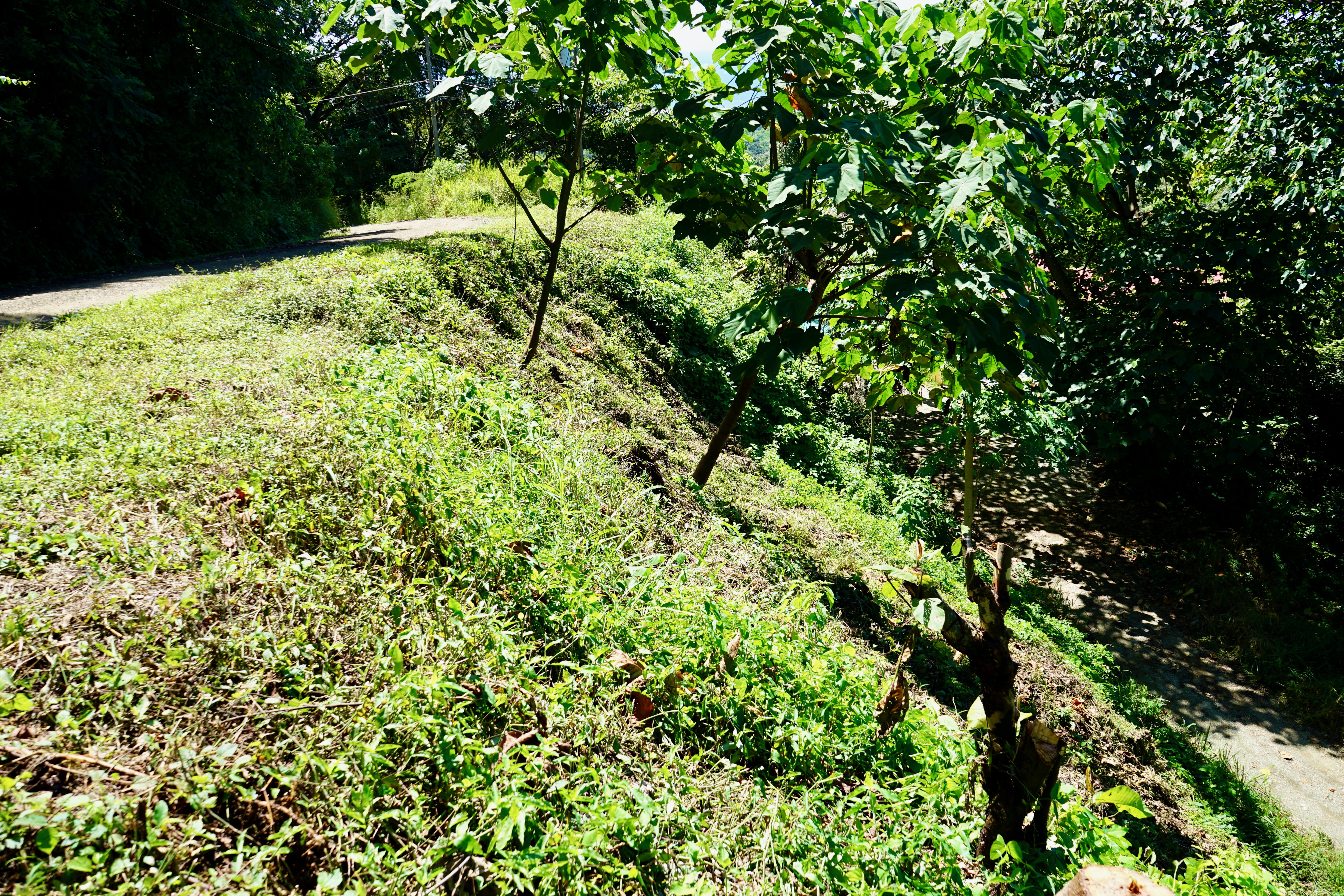 0 bed Land For Sale in Nosara, Guanacaste - thumb 7