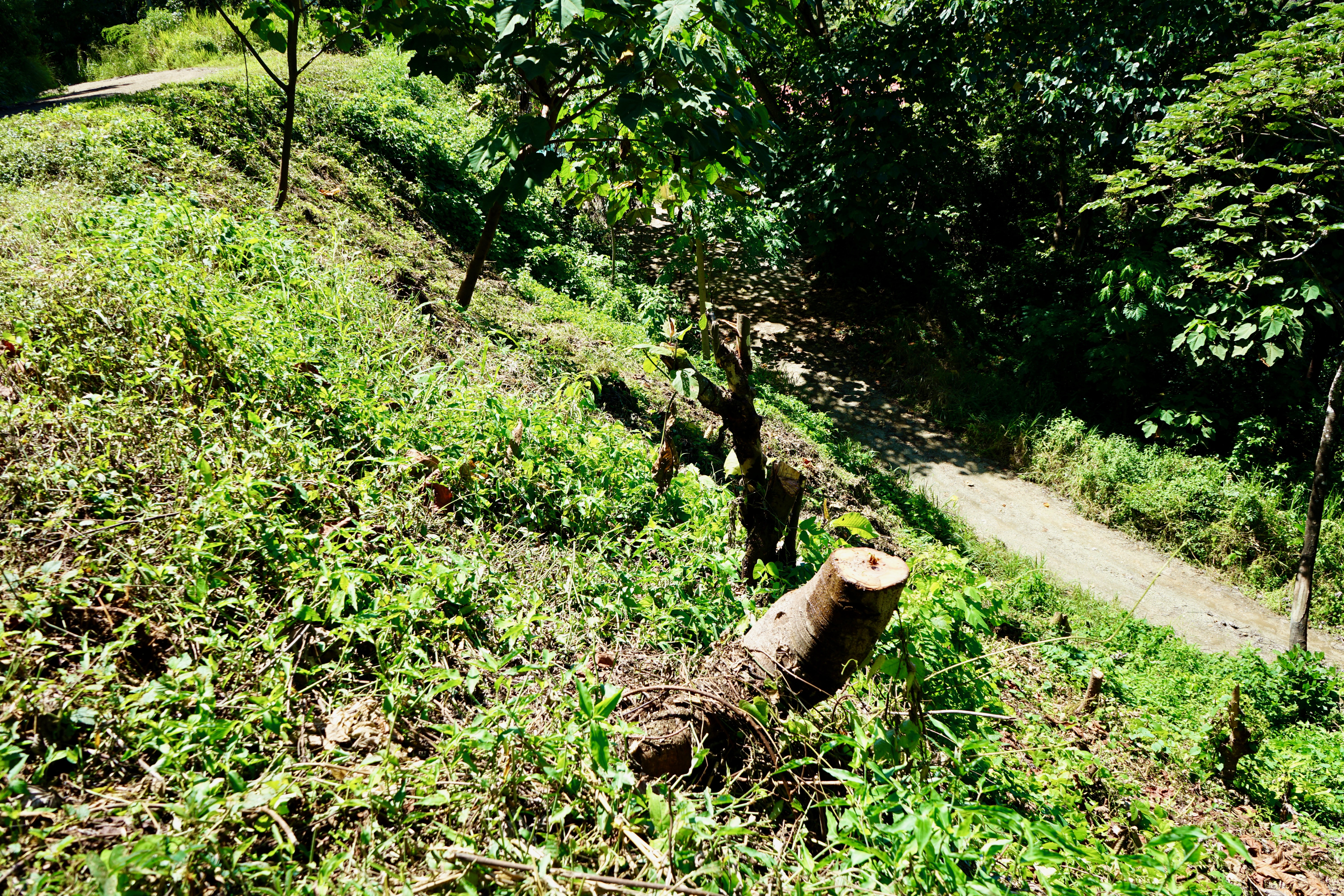 0 bed Land For Sale in Nosara, Guanacaste - thumb 11