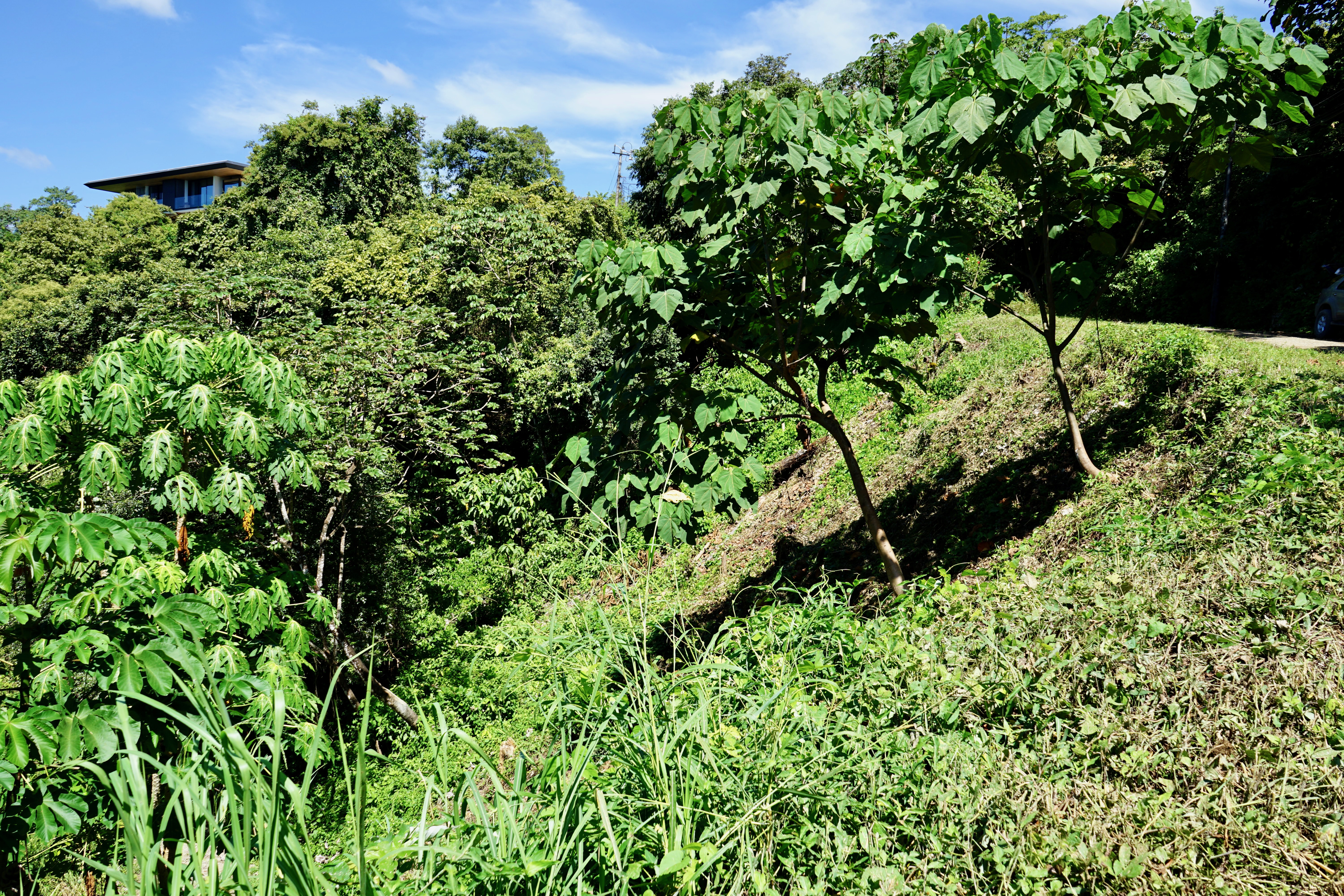 0 bed Land For Sale in Nosara, Guanacaste - thumb 13