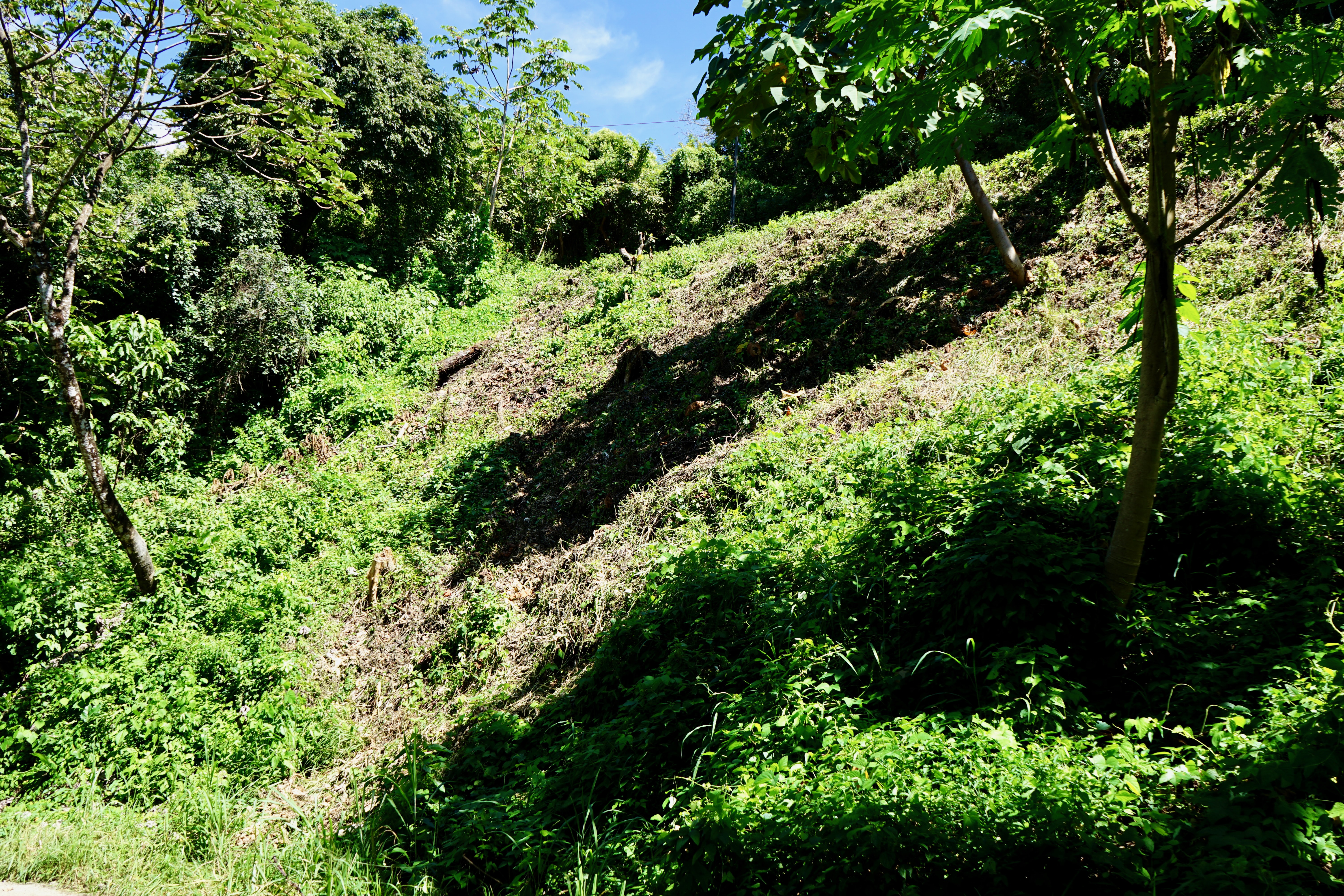 0 bed Land For Sale in Nosara, Guanacaste - thumb 16