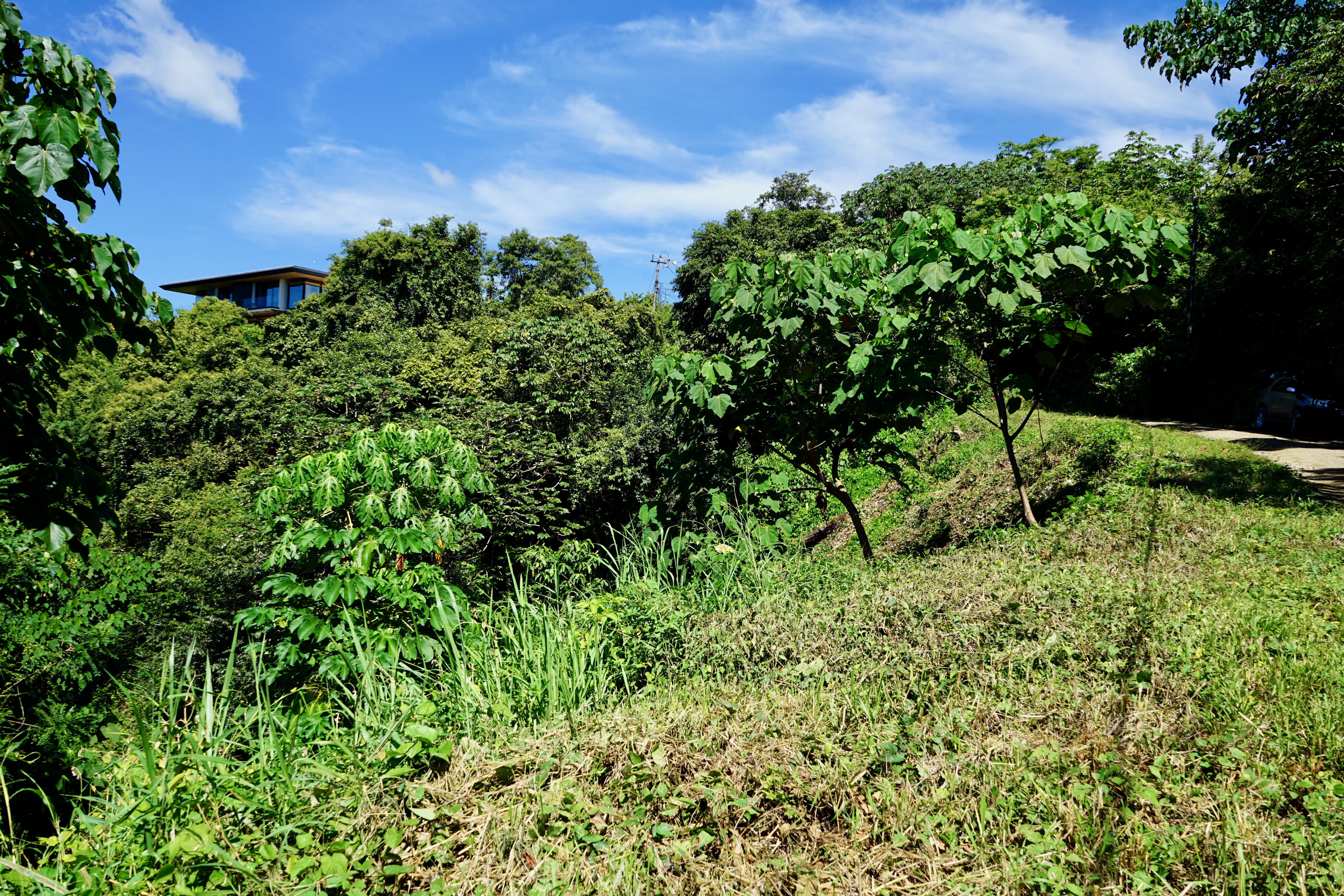 0 bed Land For Sale in Nosara, Guanacaste - thumb 12