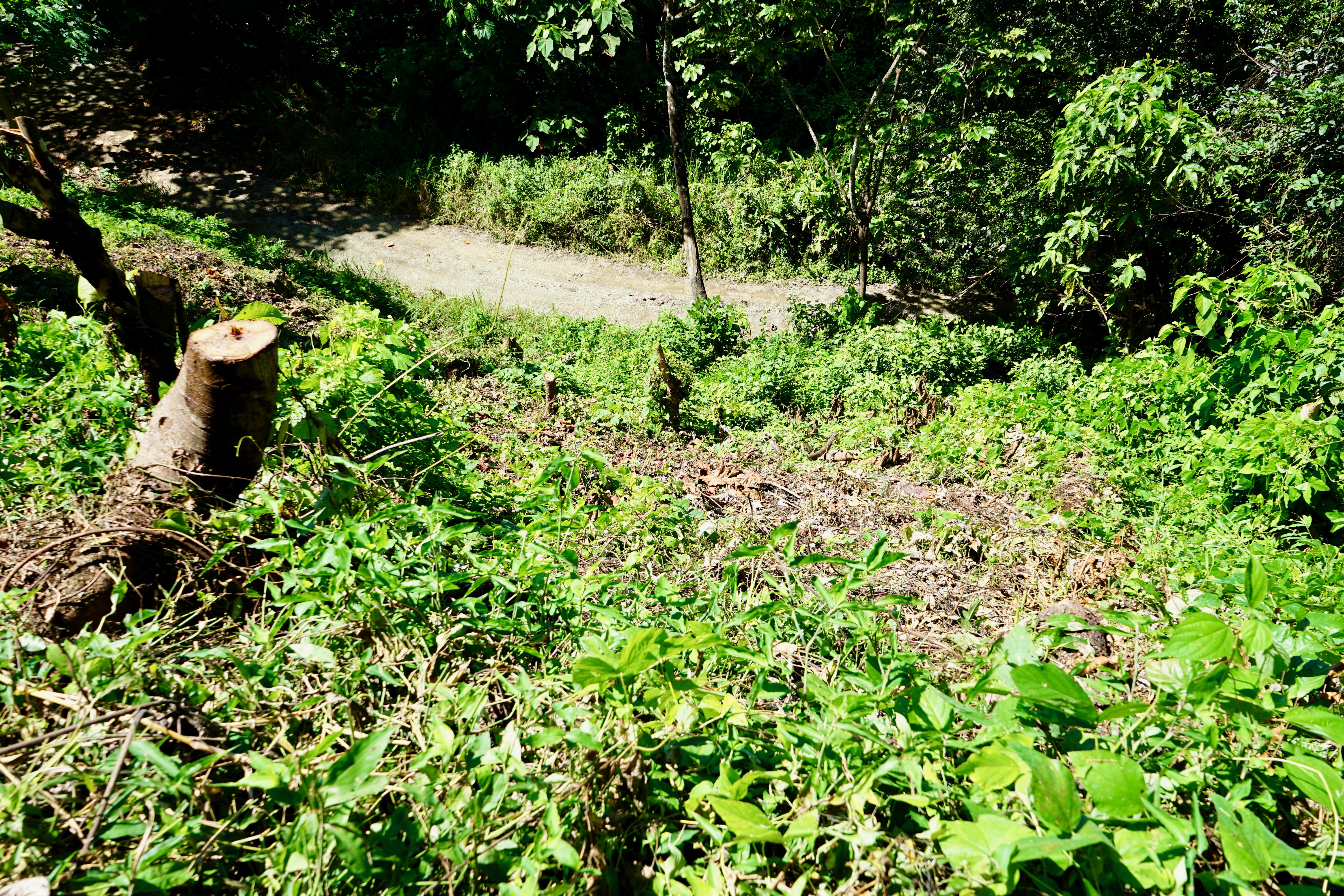 0 bed Land For Sale in Nosara, Guanacaste - thumb 9