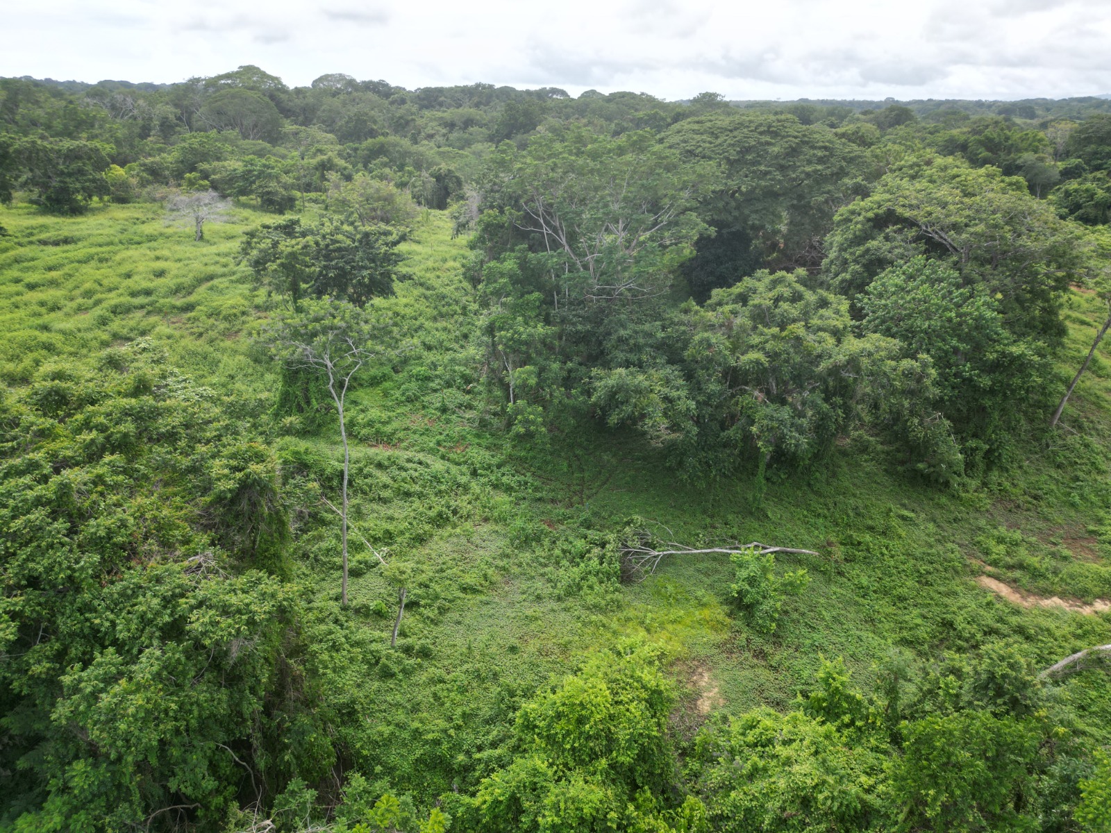 0 bed Communities For Sale in Cabuya, Puntarenas - thumb 1