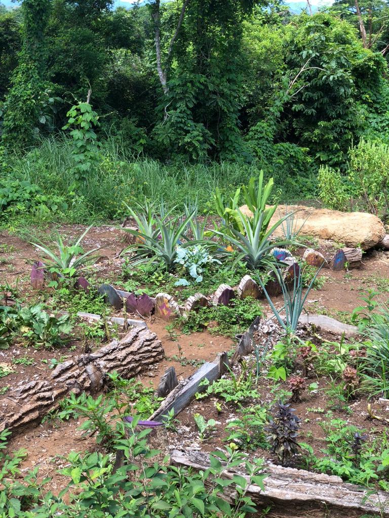 0 bed Communities For Sale in Cabuya, Puntarenas - thumb 6