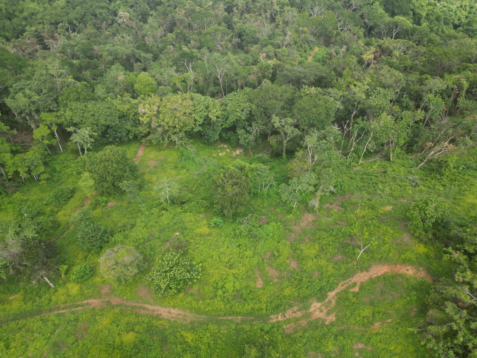 0 bed Communities For Sale in Cabuya, Puntarenas - thumb 10