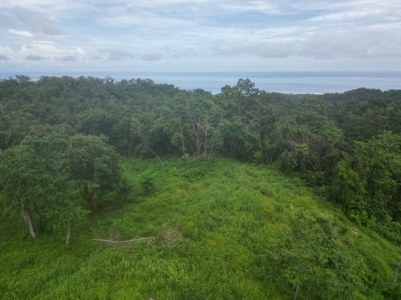 0 bed Communities For Sale in Cabuya, Puntarenas - thumb 9