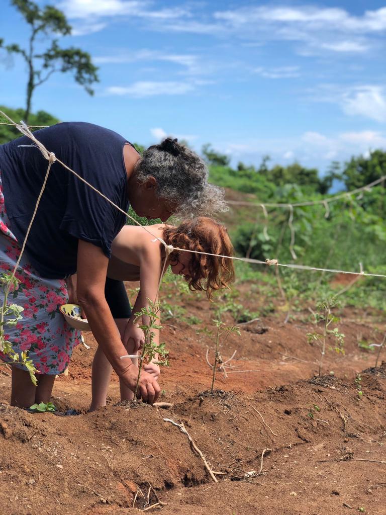 0 bed Communities For Sale in Cabuya, Puntarenas - thumb 7