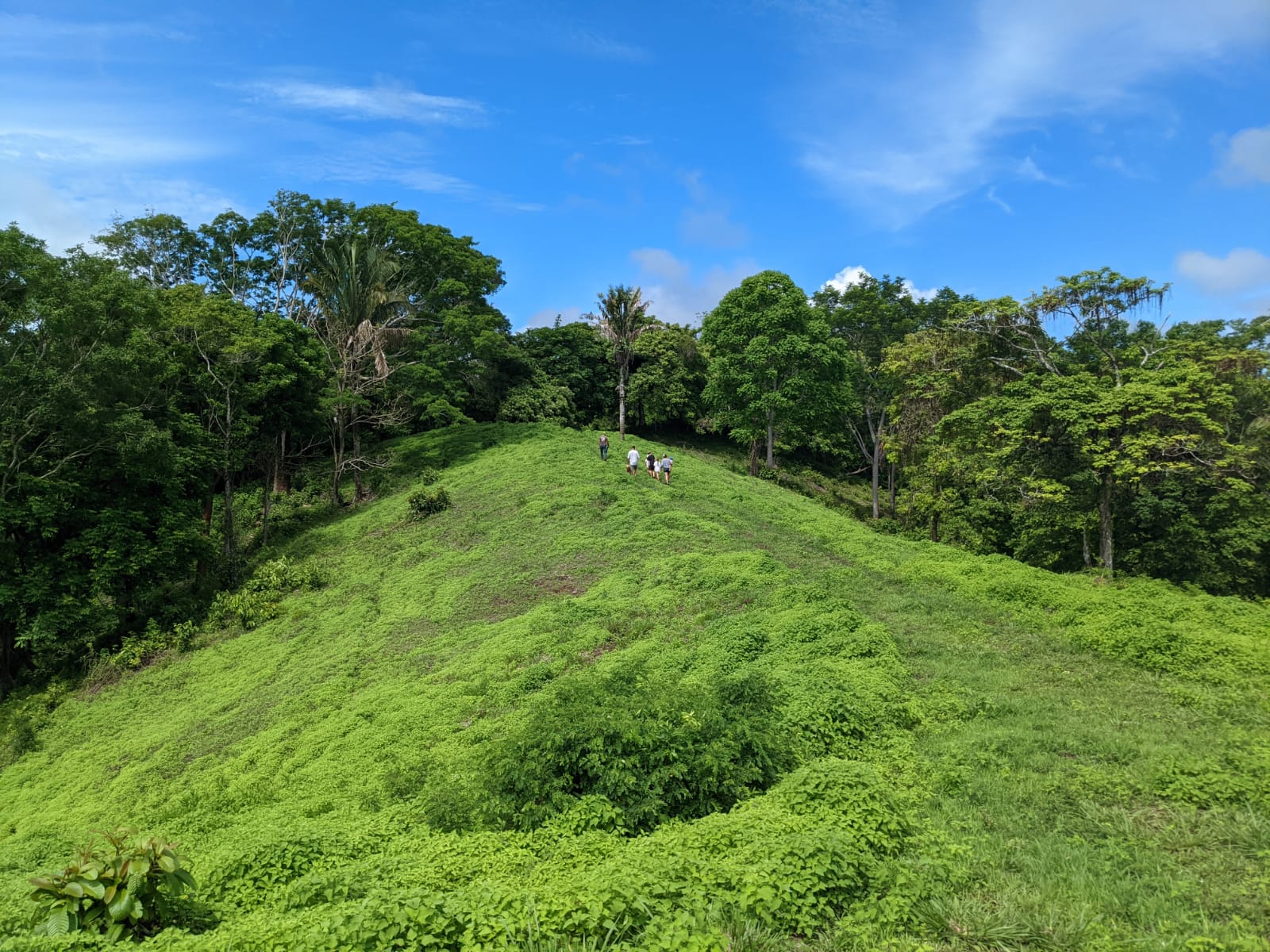 0 bed Communities For Sale in Cabuya, Puntarenas - thumb 3