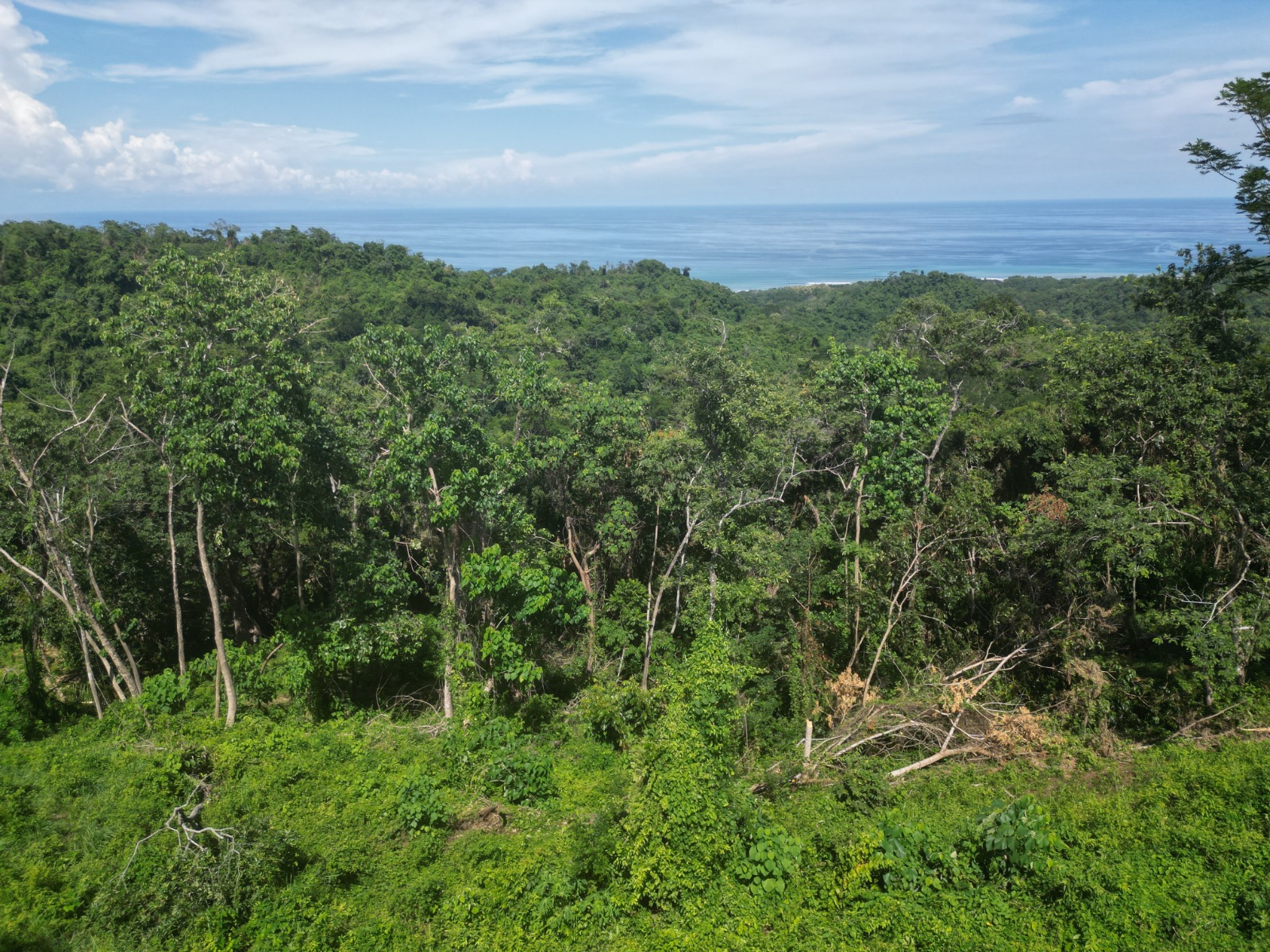 0 bed Communities For Sale in Cabuya, Puntarenas - thumb 2