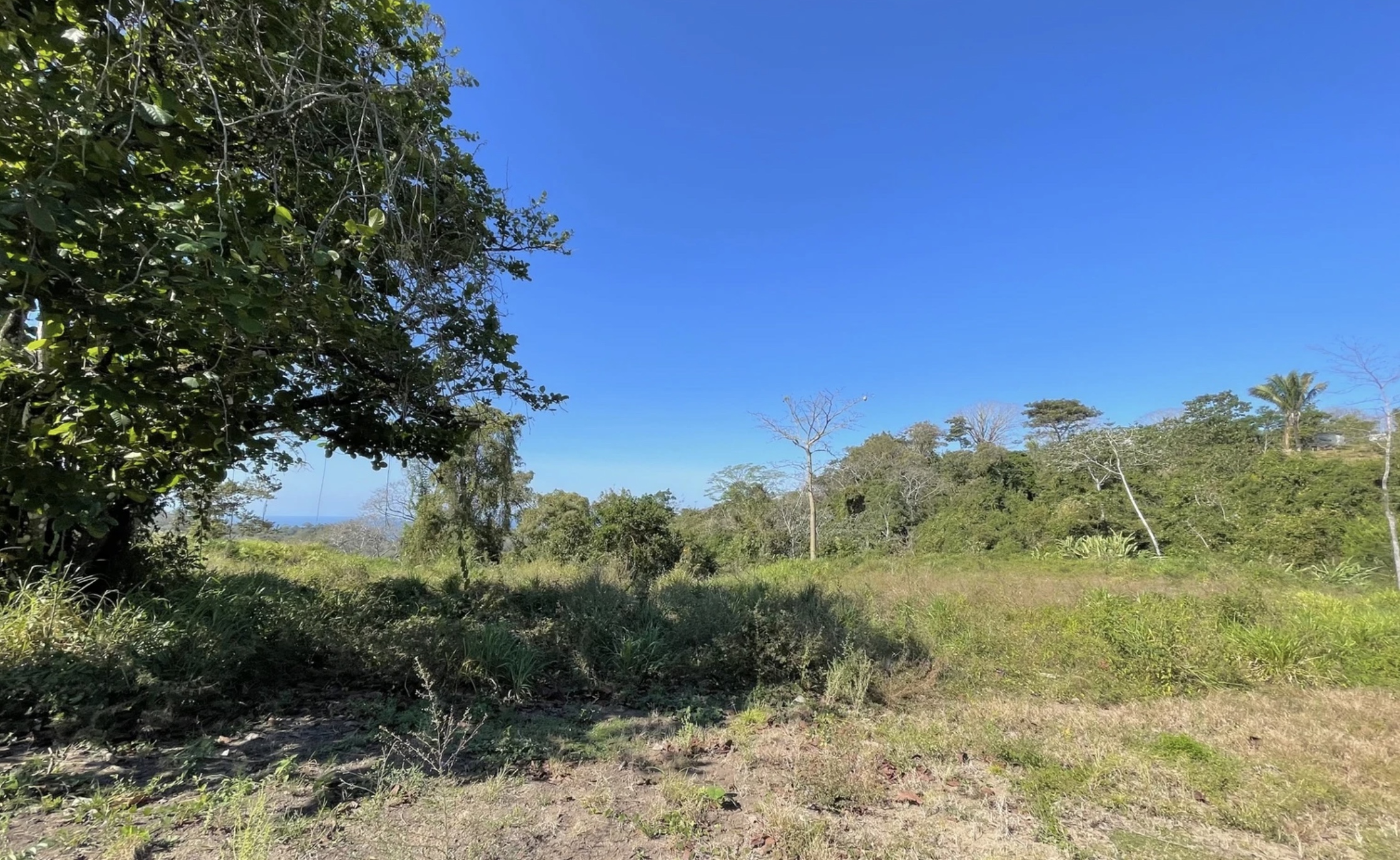 0 bed Land For Sale in Santa Teresa, Puntarenas - thumb 3