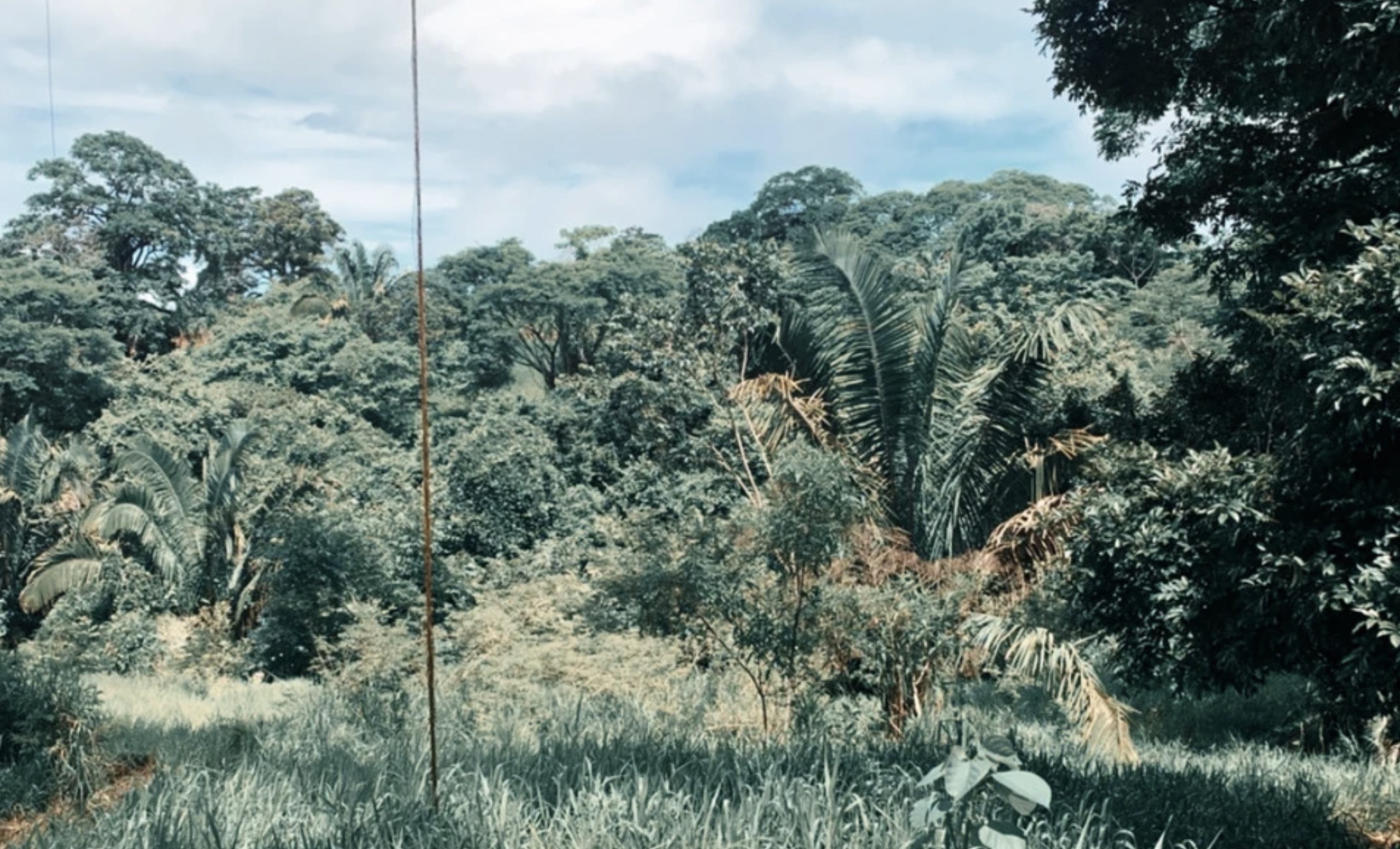 0 bed Land For Sale in Santa Teresa, Puntarenas - thumb 8