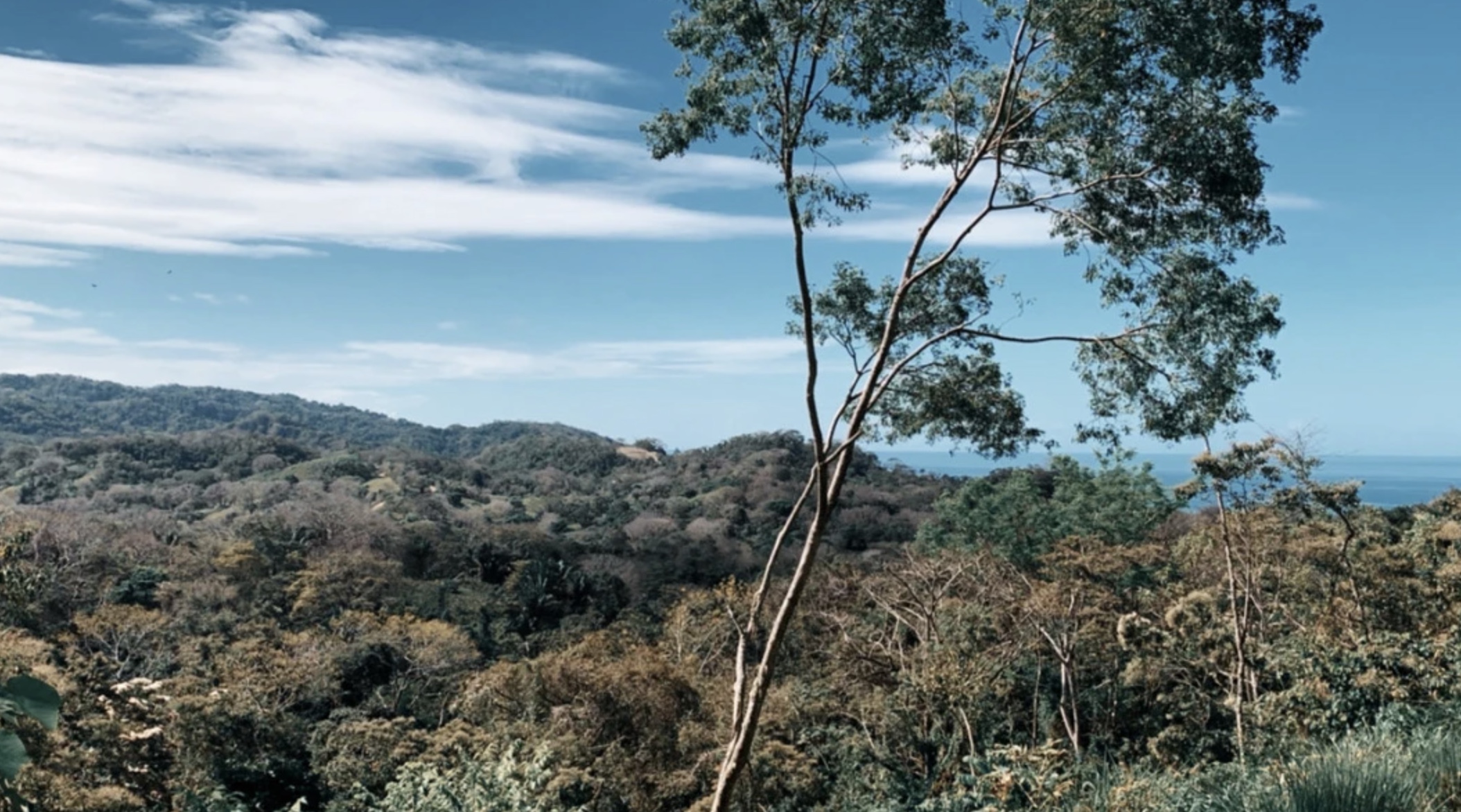 0 bed Land For Sale in Santa Teresa, Puntarenas - thumb 2