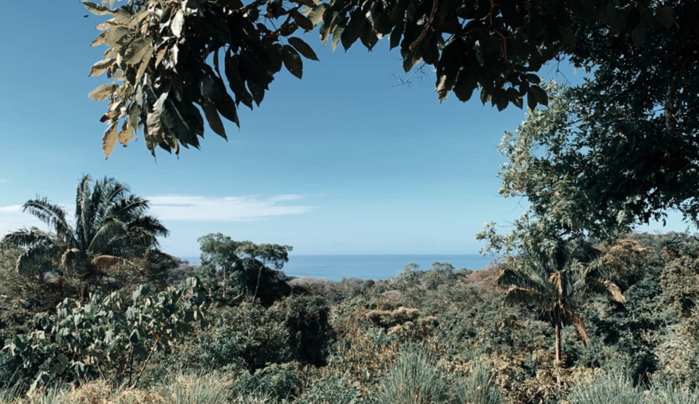 0 bed Land For Sale in Santa Teresa, Puntarenas - thumb 1