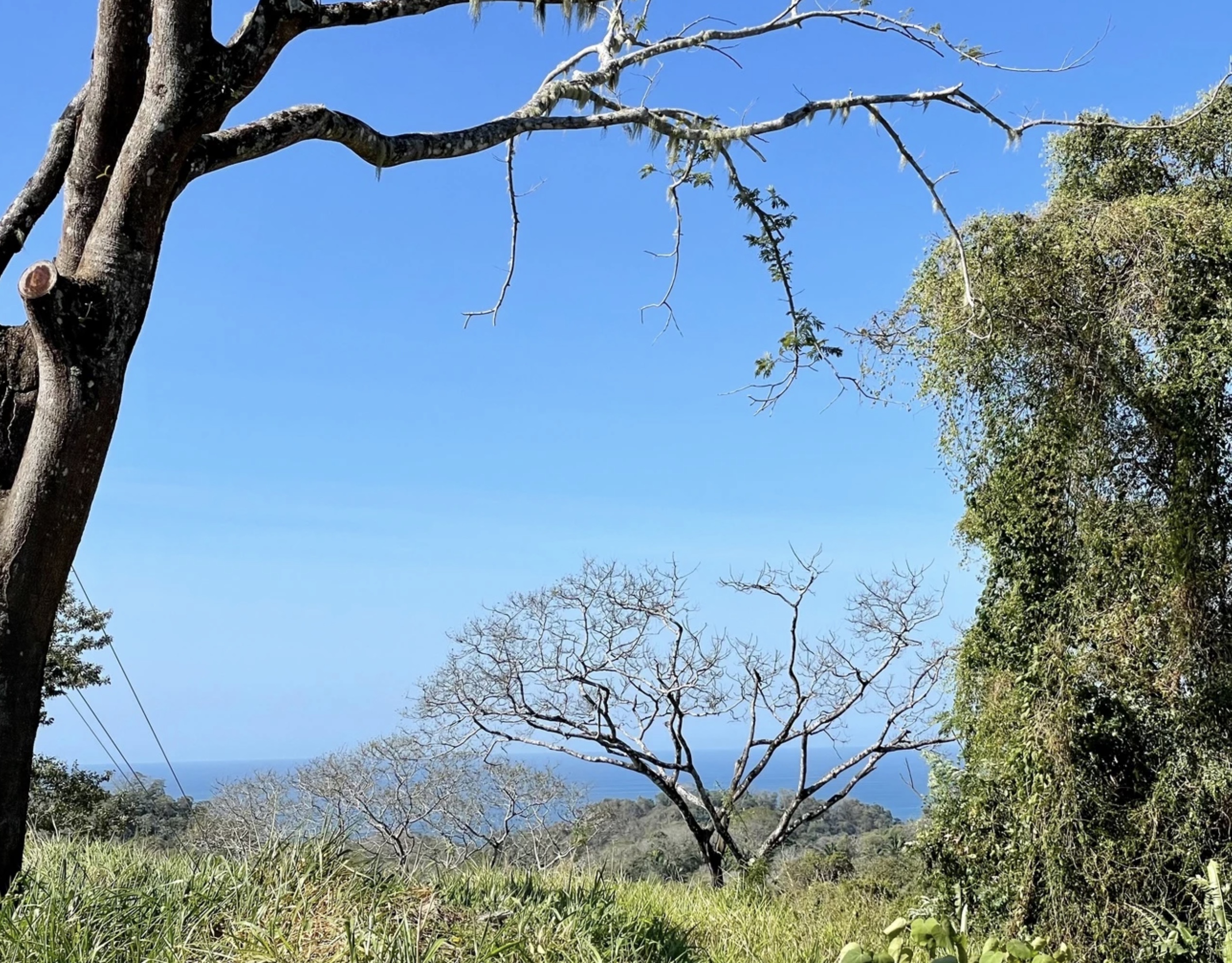 0 bed Land For Sale in Santa Teresa, Puntarenas - thumb 6