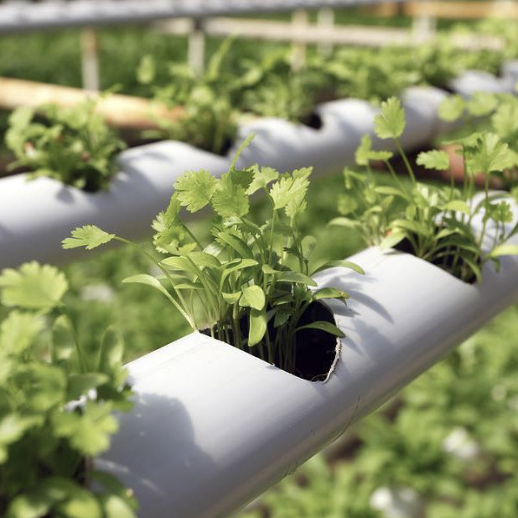 0 bed Commercial For Sale in Montes de Oca, San Jose - thumb 9