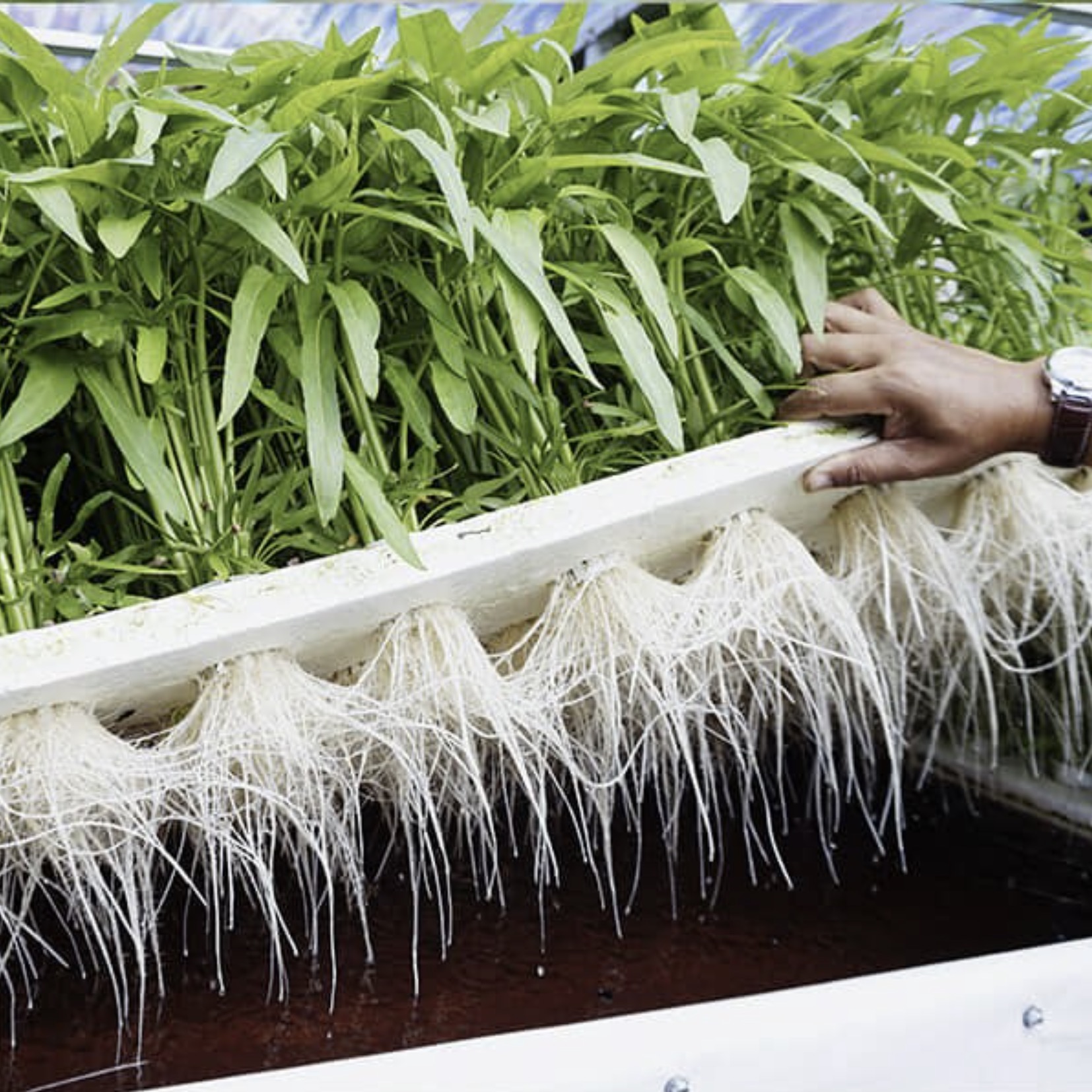 0 bed Commercial For Sale in Montes de Oca, San Jose - thumb 1