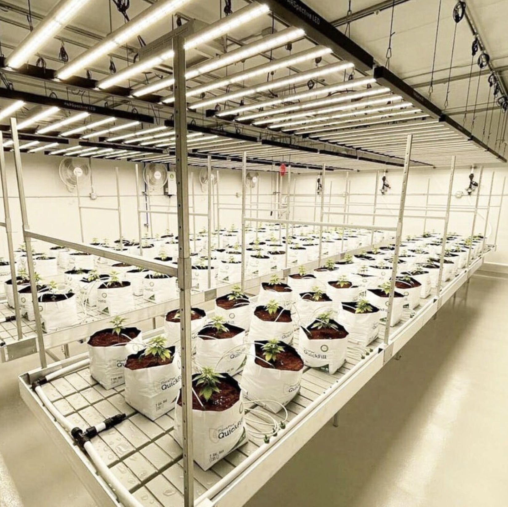 0 bed Commercial For Sale in Montes de Oca, San Jose - thumb 6